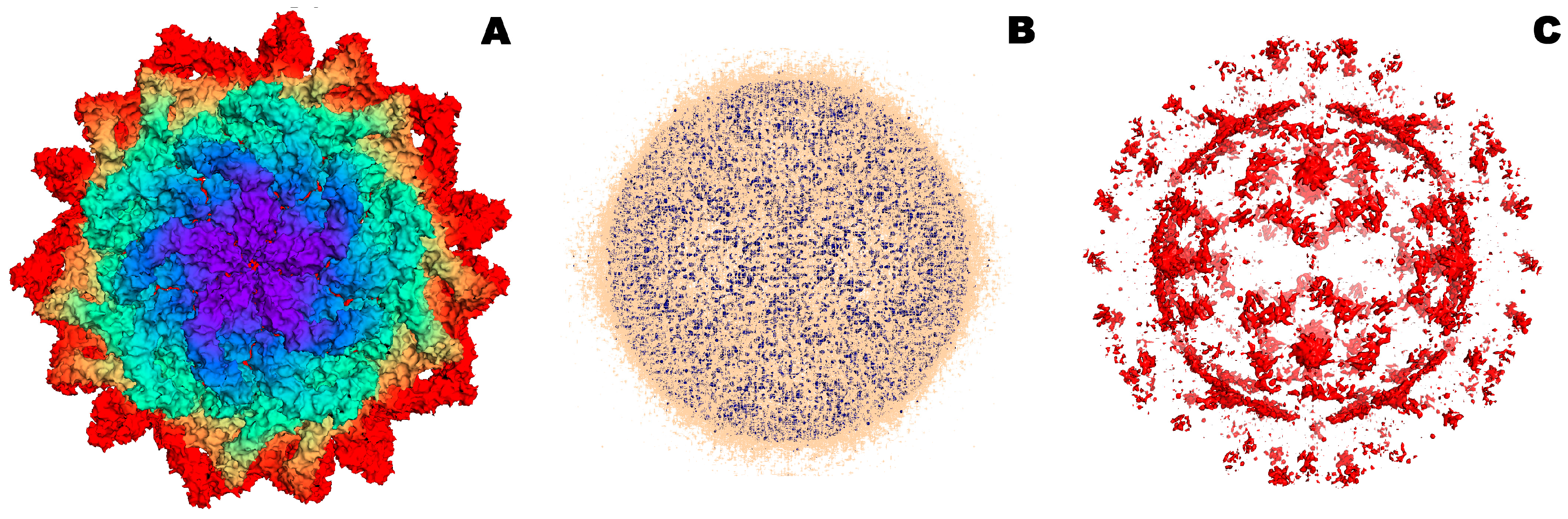 Microorganisms 12 01650 g007 Microorganisms 12 01650 g007