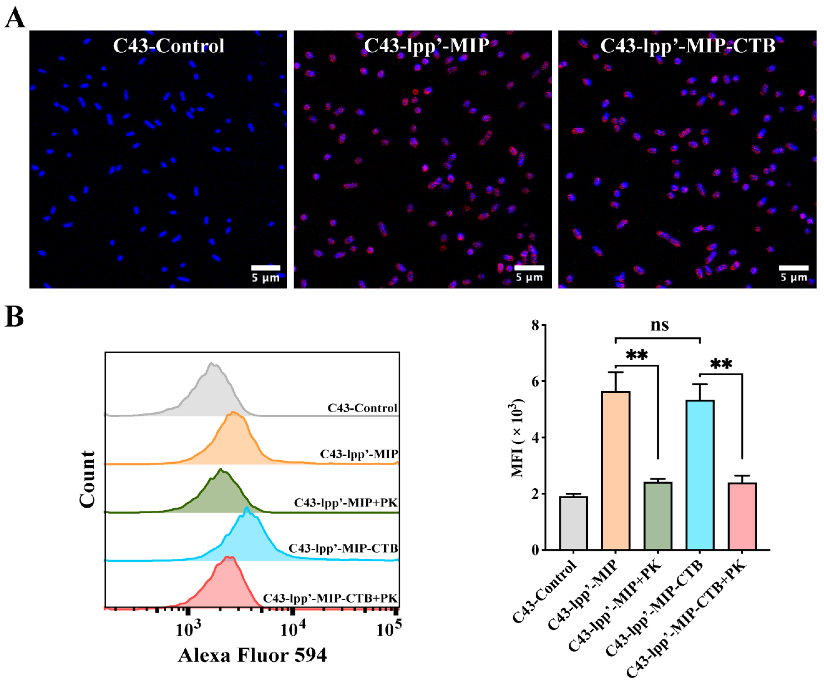 Microorganisms 12 01656 g002