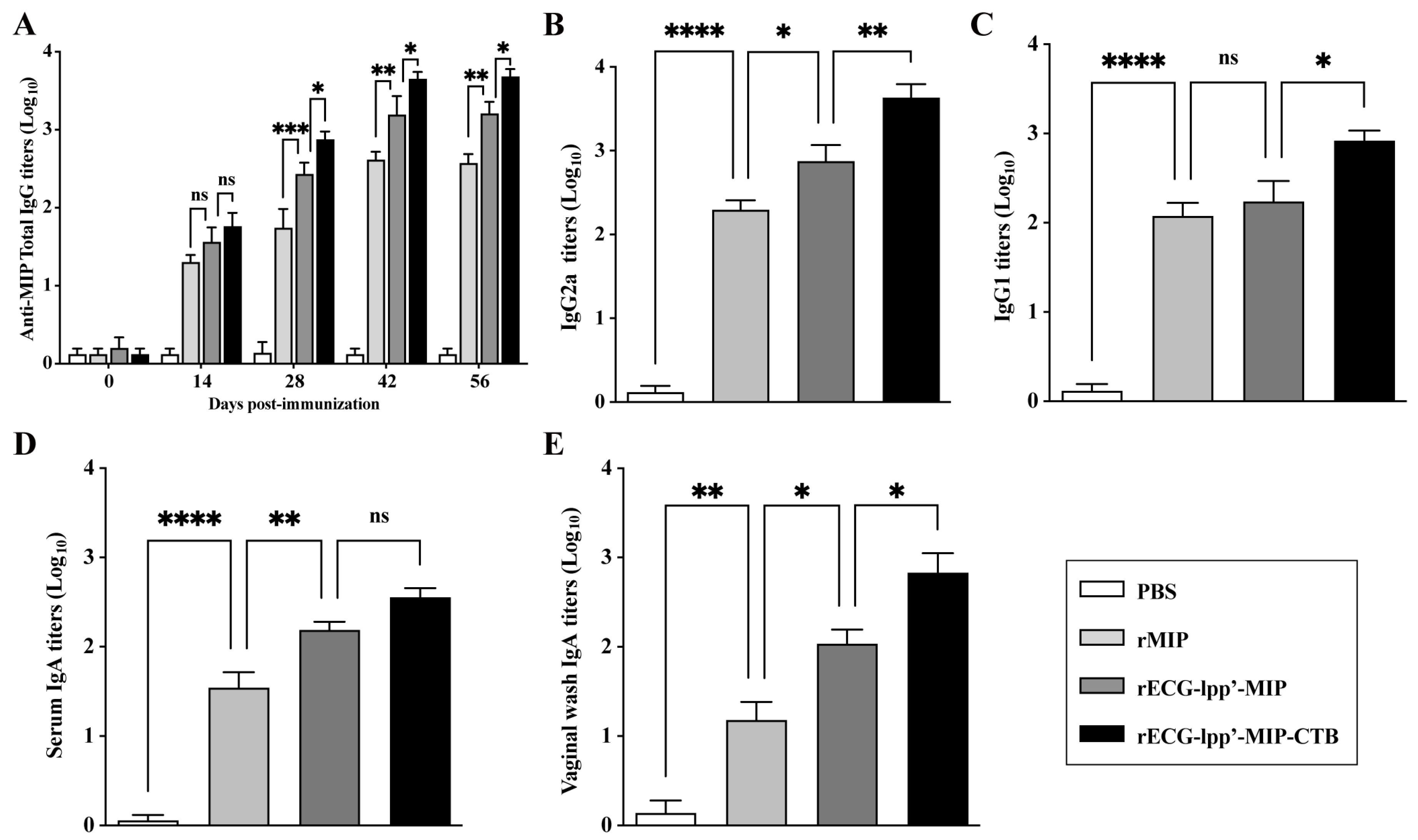 Microorganisms 12 01656 g004