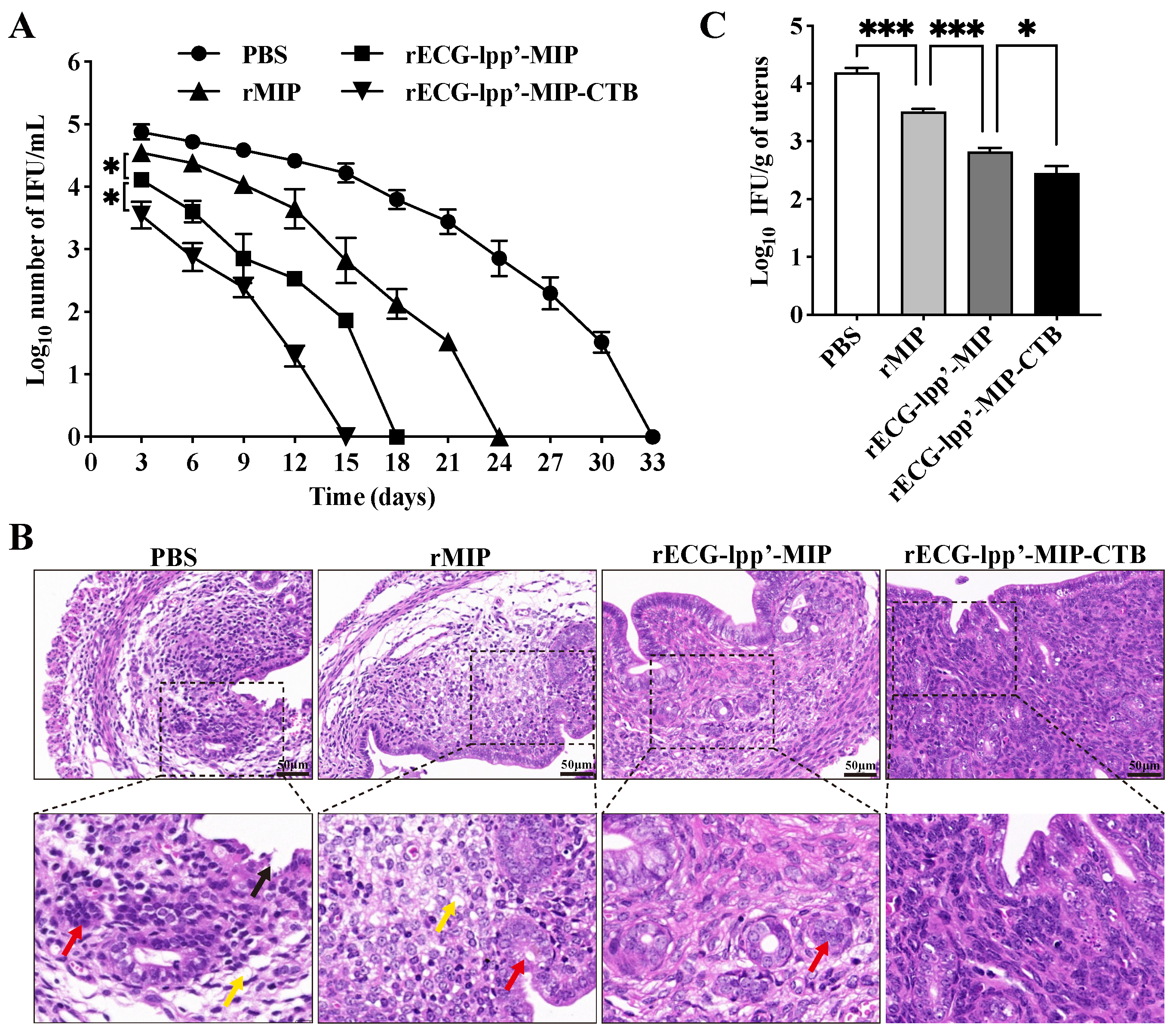 Microorganisms 12 01656 g006