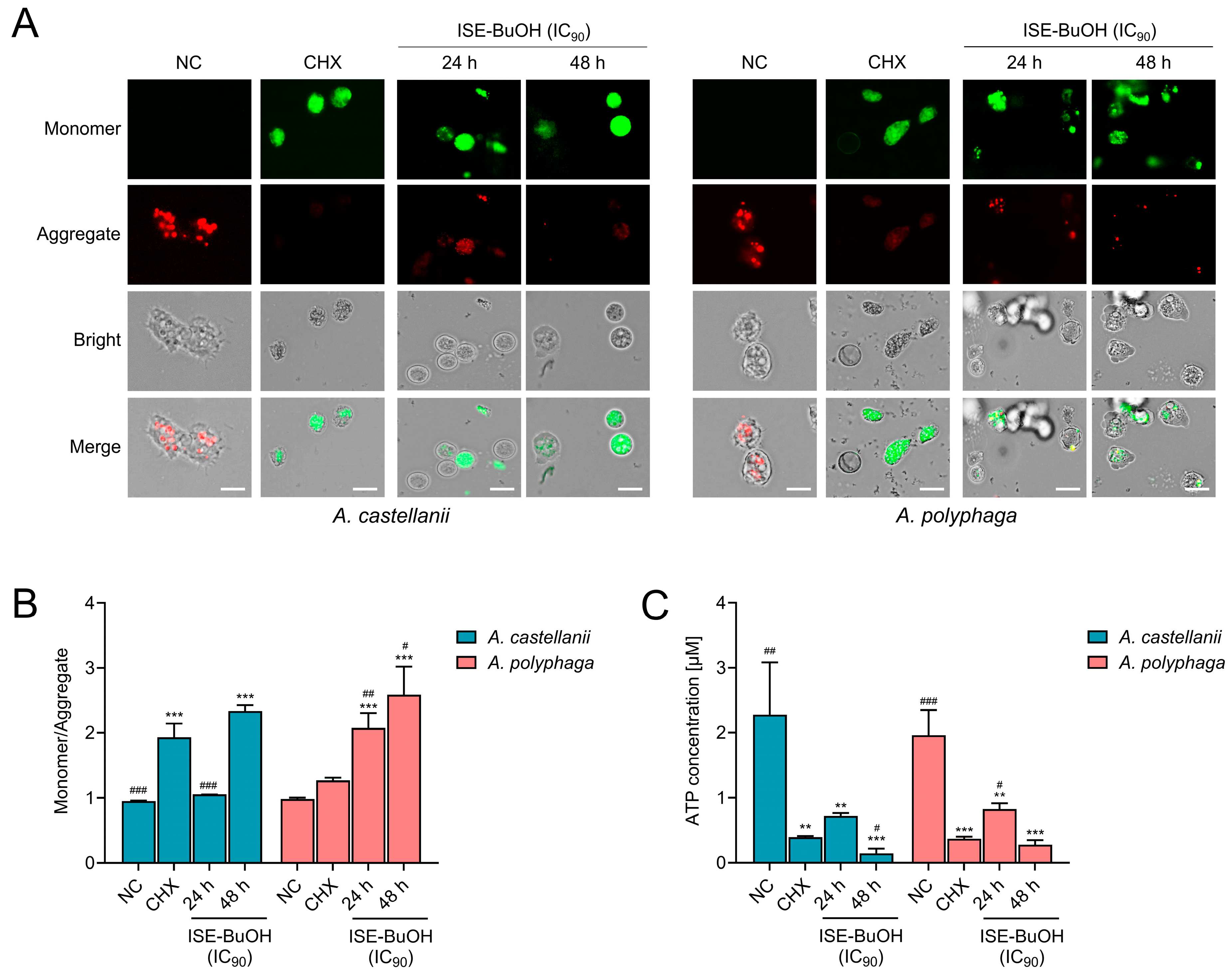 Microorganisms 12 01658 g007