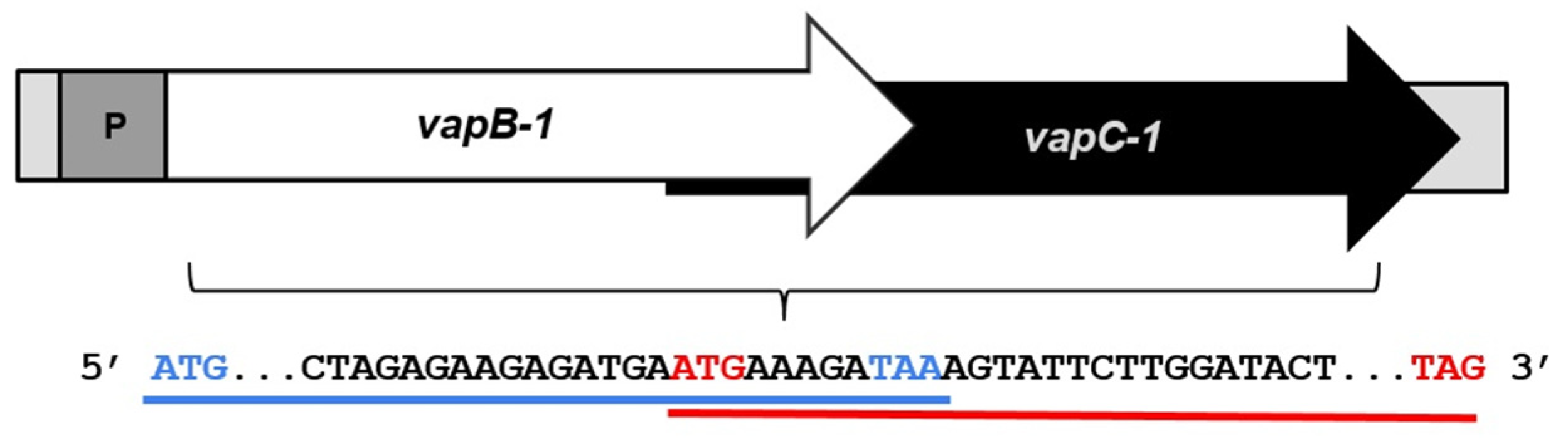 Microorganisms 12 01660 g001