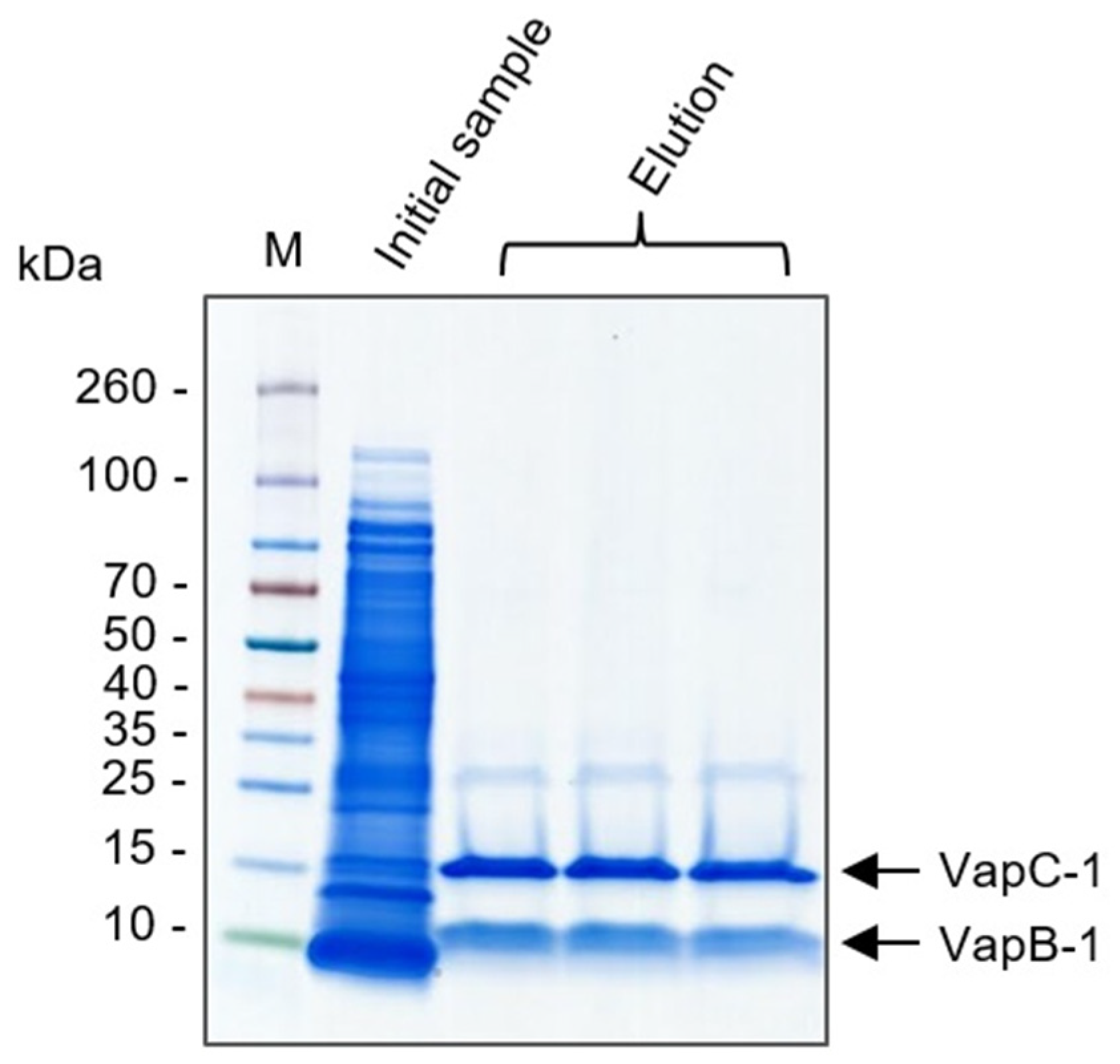 Microorganisms 12 01660 g003