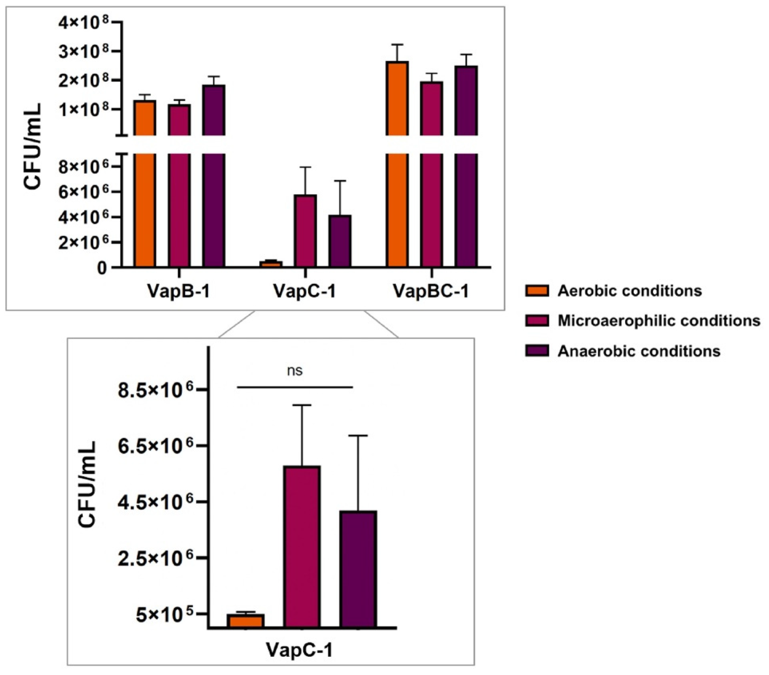 Microorganisms 12 01660 g005