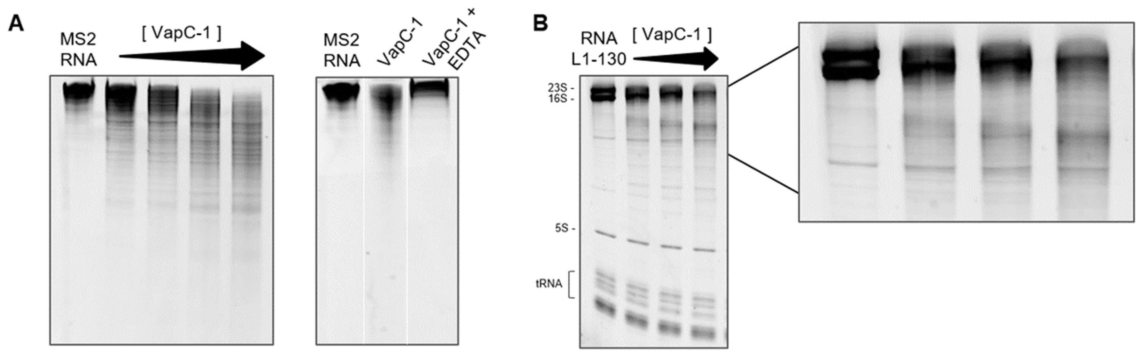 Microorganisms 12 01660 g006