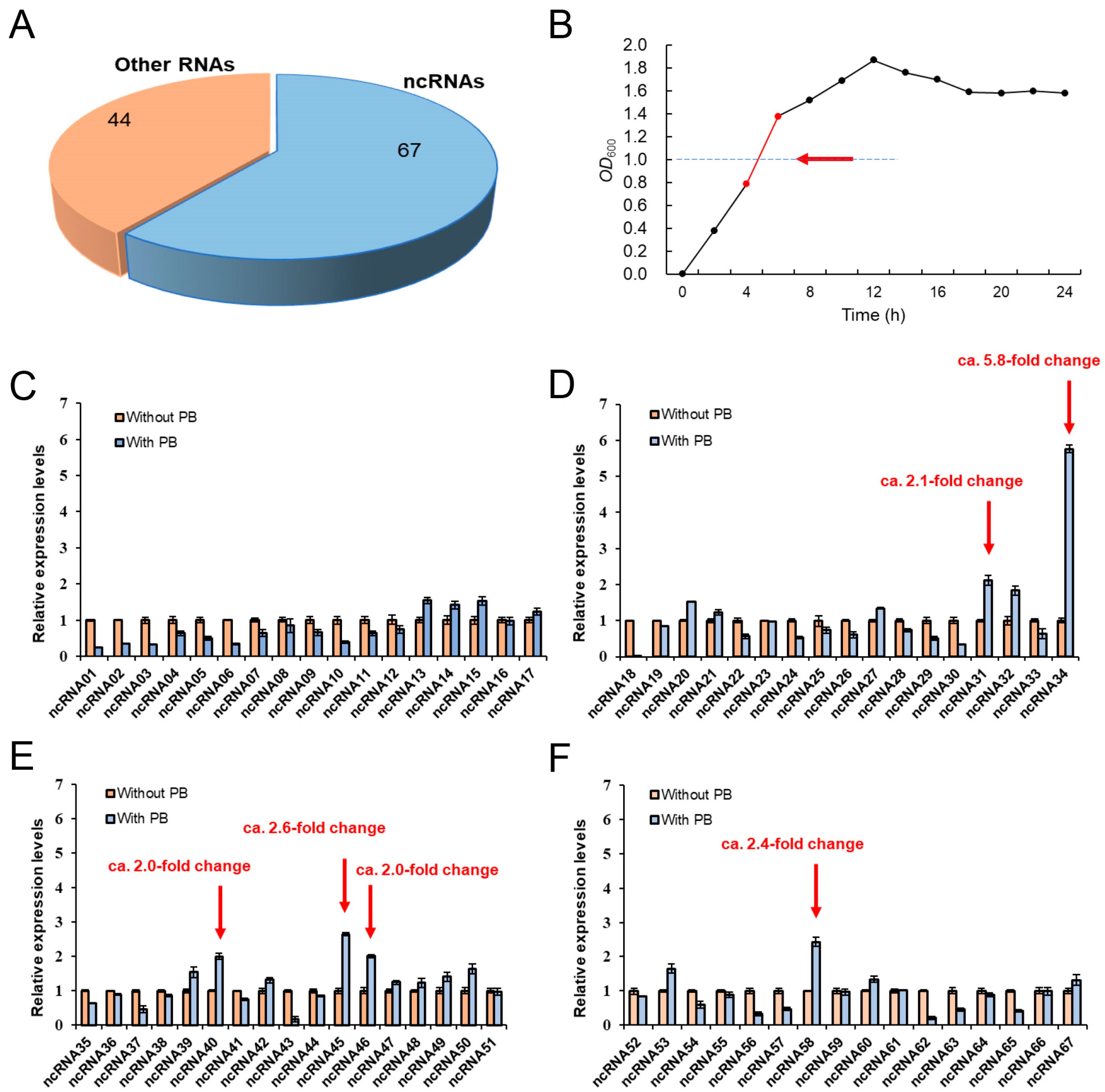 あお Identification and Functional Analysis of ncRNAs Regulating