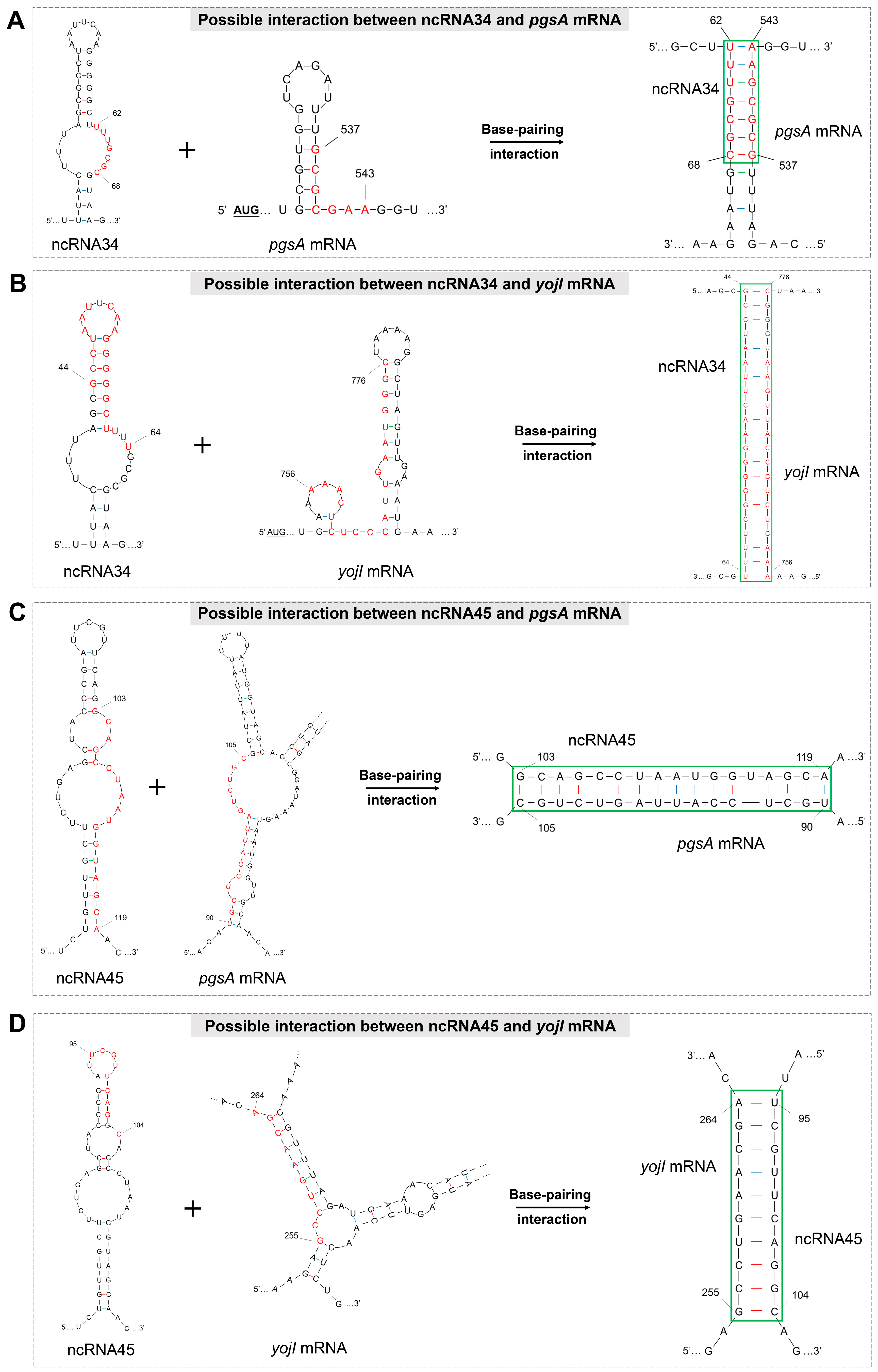 Microorganisms 12 01661 g004 Microorganisms 12 01661 g004