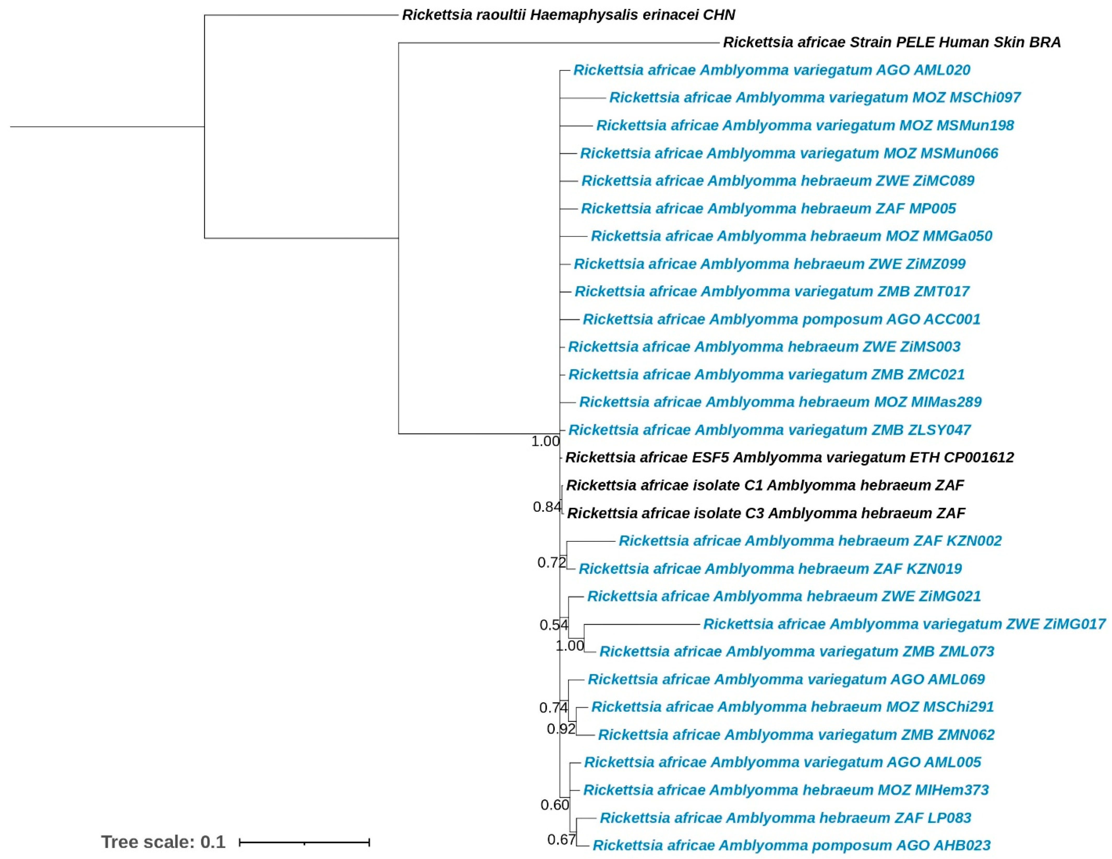 Microorganisms 12 01663 g003 Microorganisms 12 01663 g003