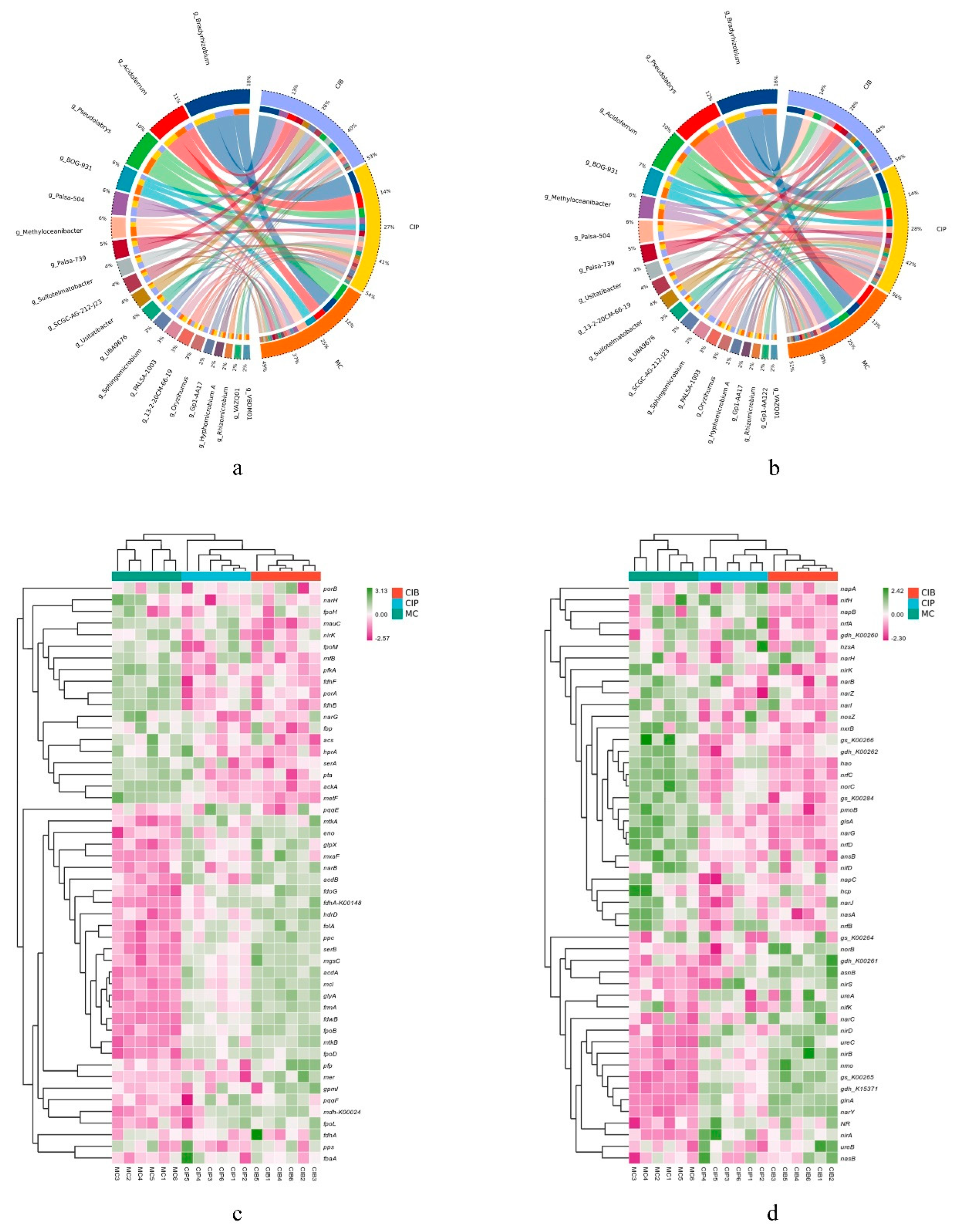 Microorganisms 12 01665 g004