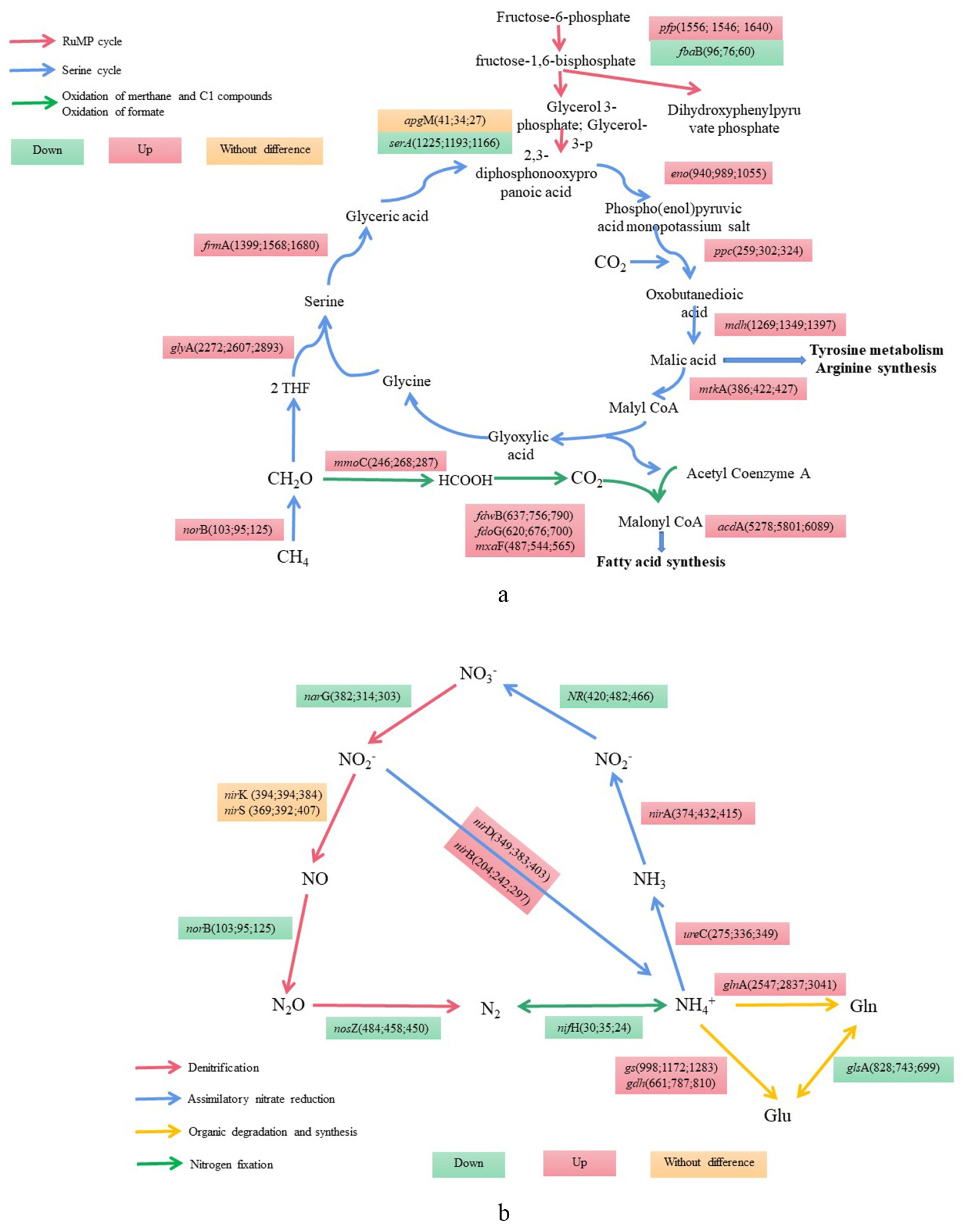 Microorganisms 12 01665 g007