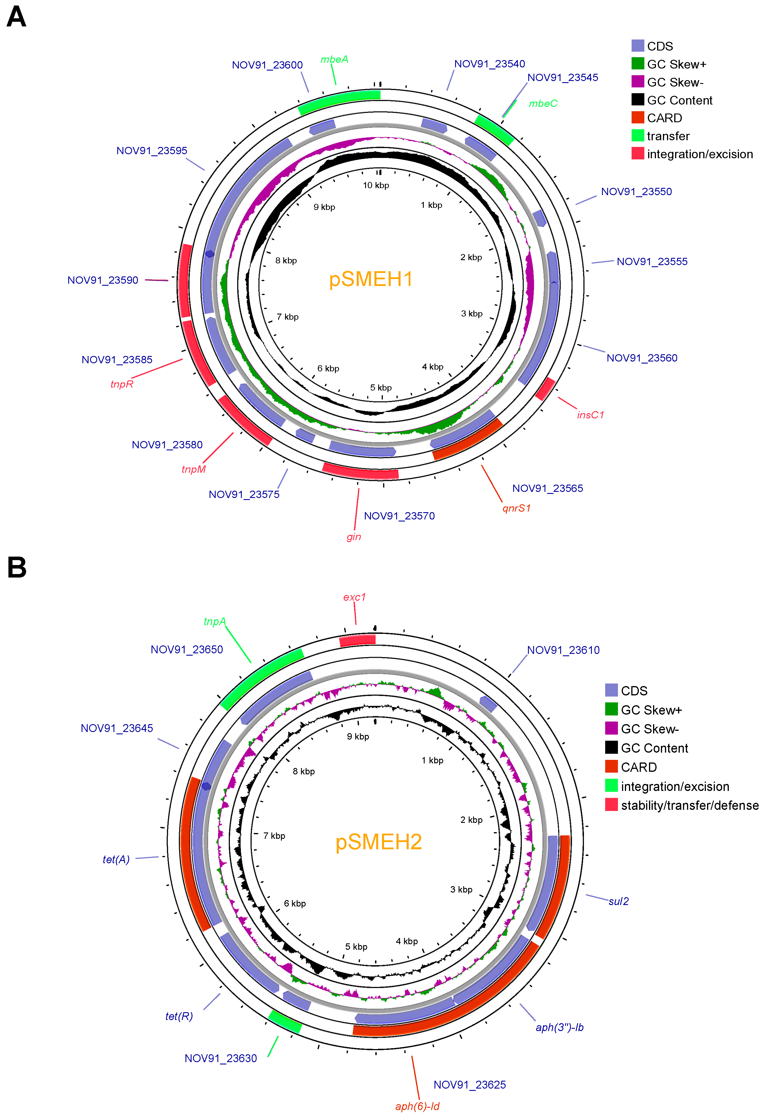 Microorganisms 12 01667 g007a Microorganisms 12 01667 g007a