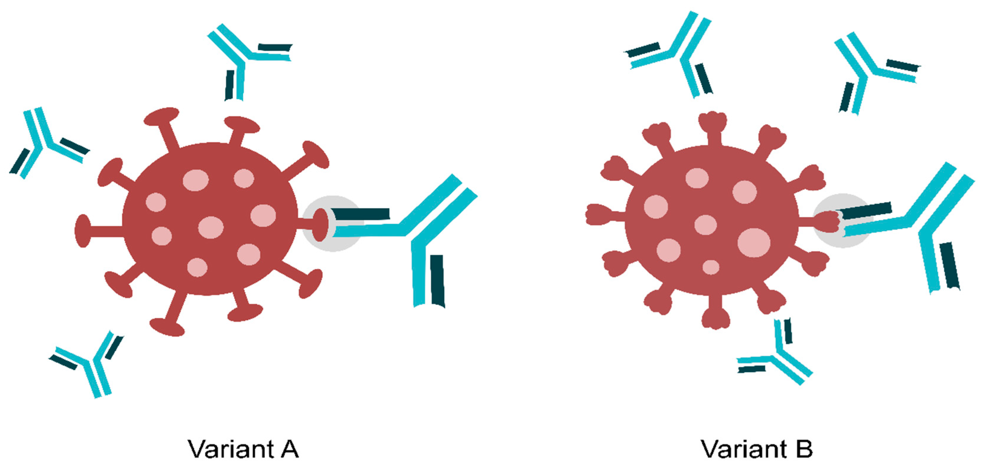 Microorganisms 12 01672 g002 Microorganisms 12 01672 g002