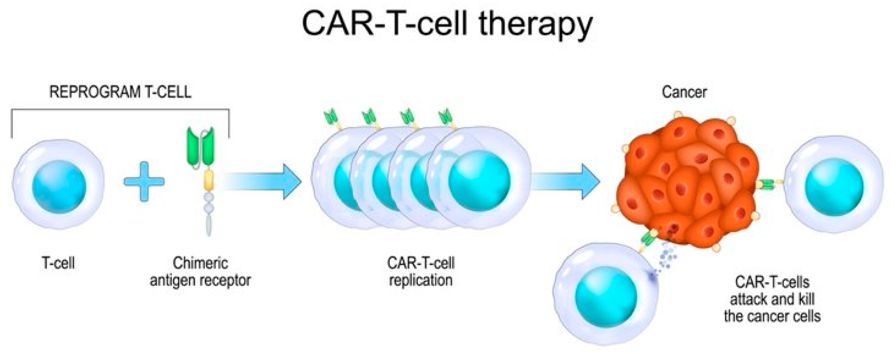 Microorganisms 12 01672 g003 Microorganisms 12 01672 g003
