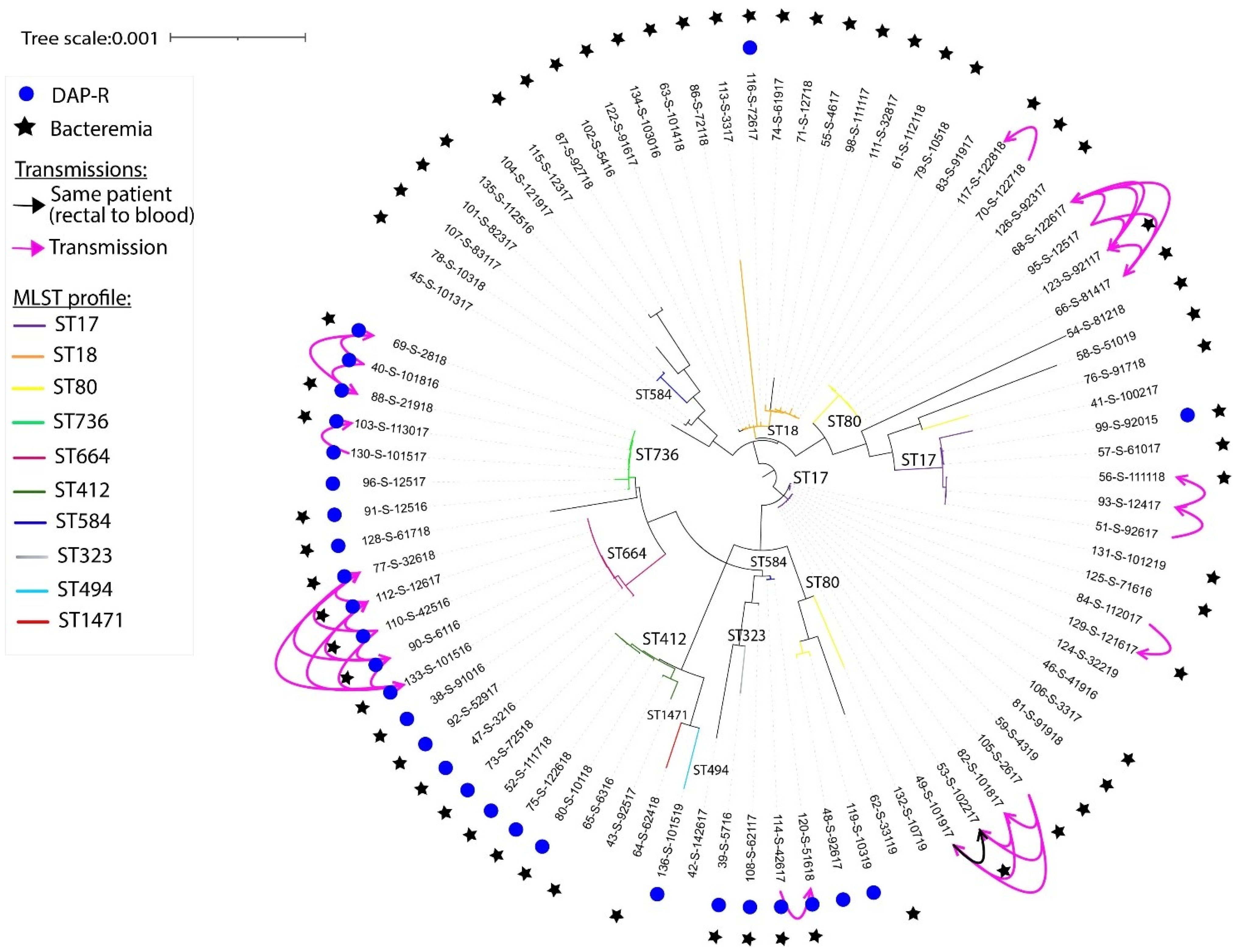 Microorganisms 12 01676 g001 Microorganisms 12 01676 g001
