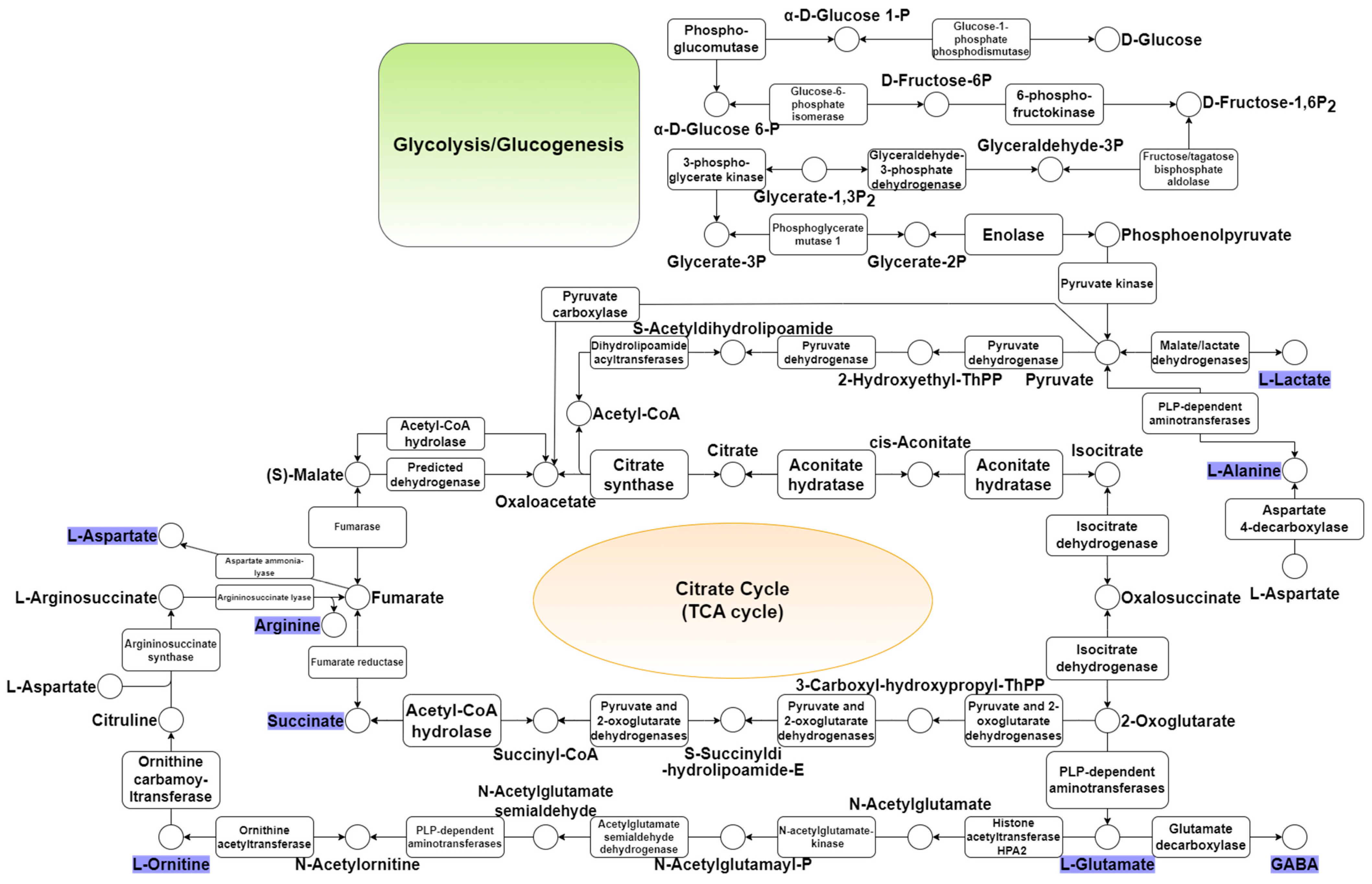 Microorganisms 12 01681 g003