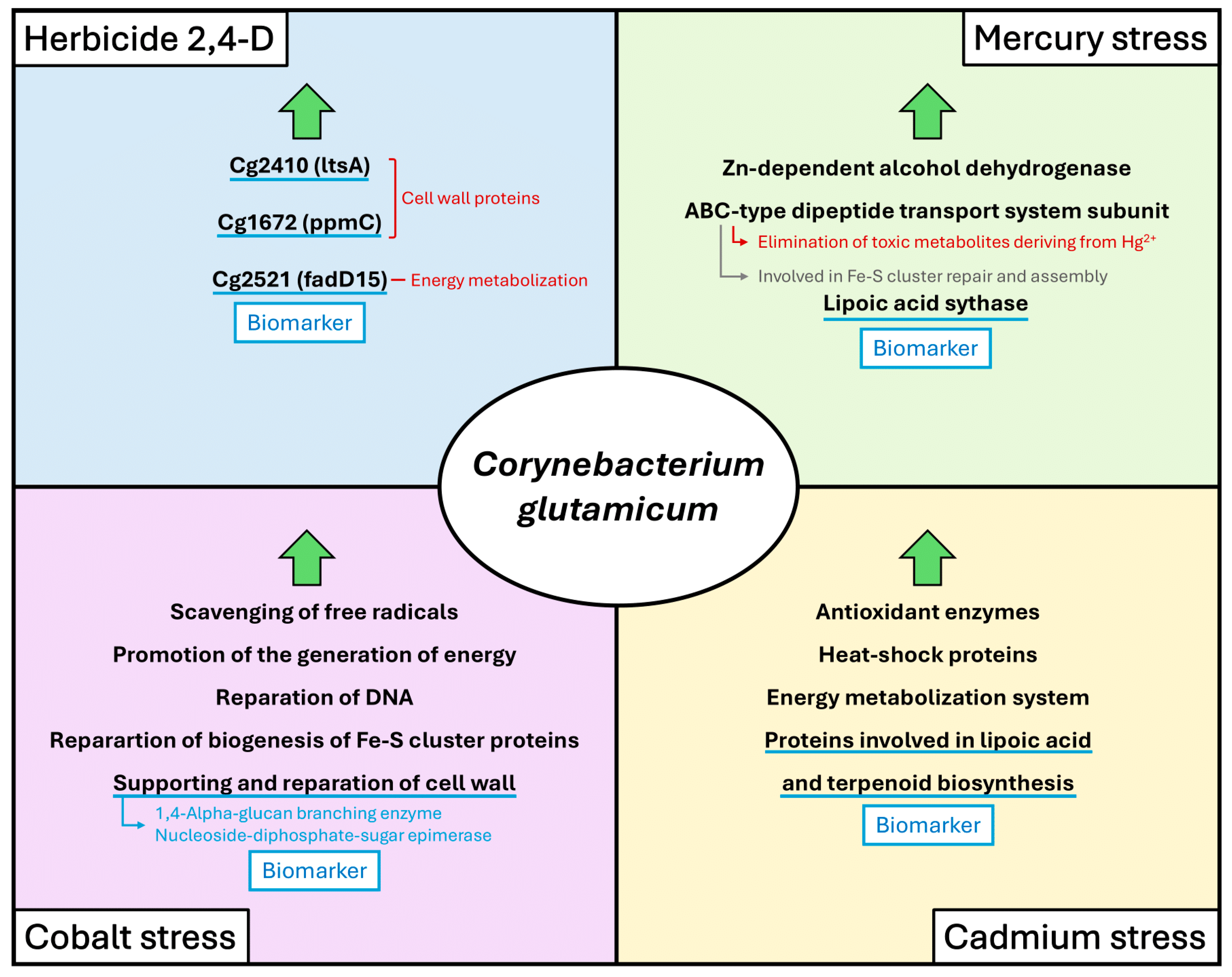 Microorganisms 12 01681 g004