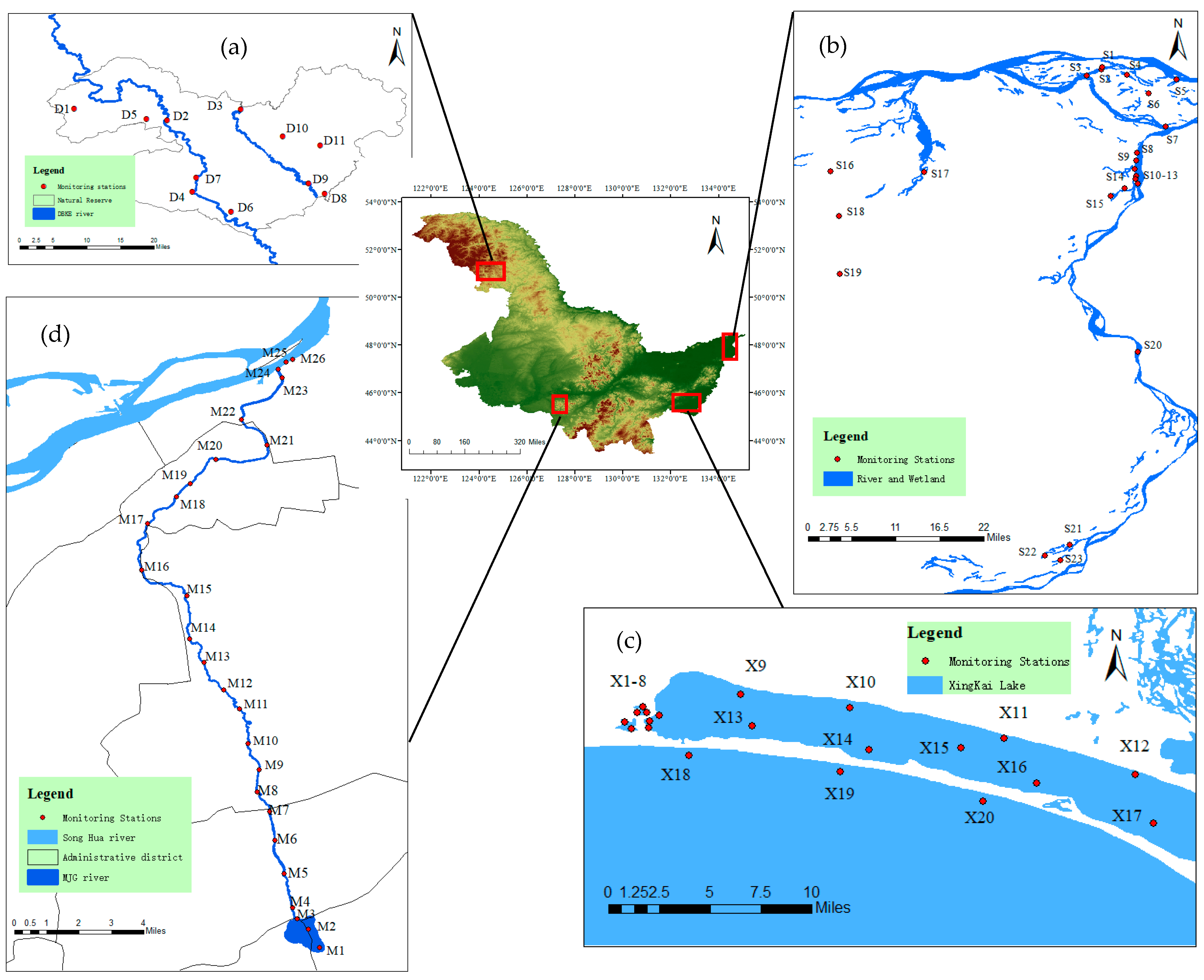 Microorganisms 12 01685 g001