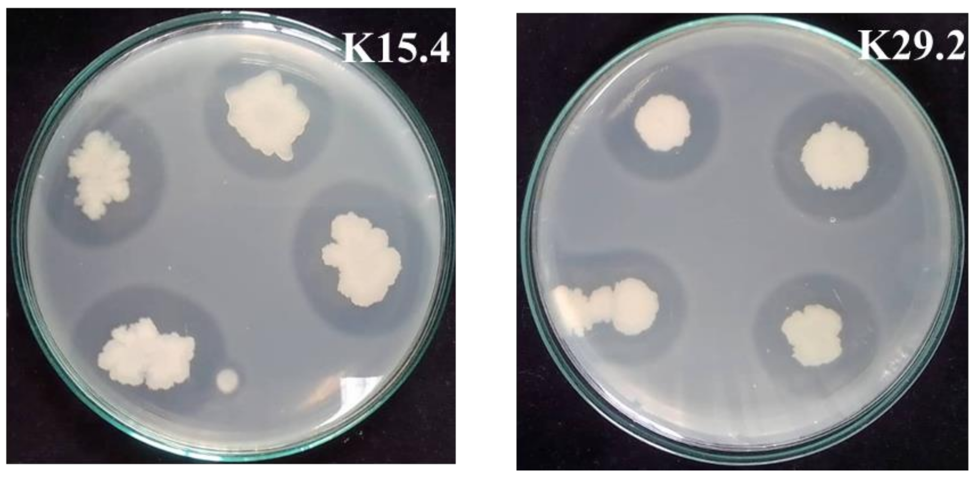 Microorganisms 12 01687 g006