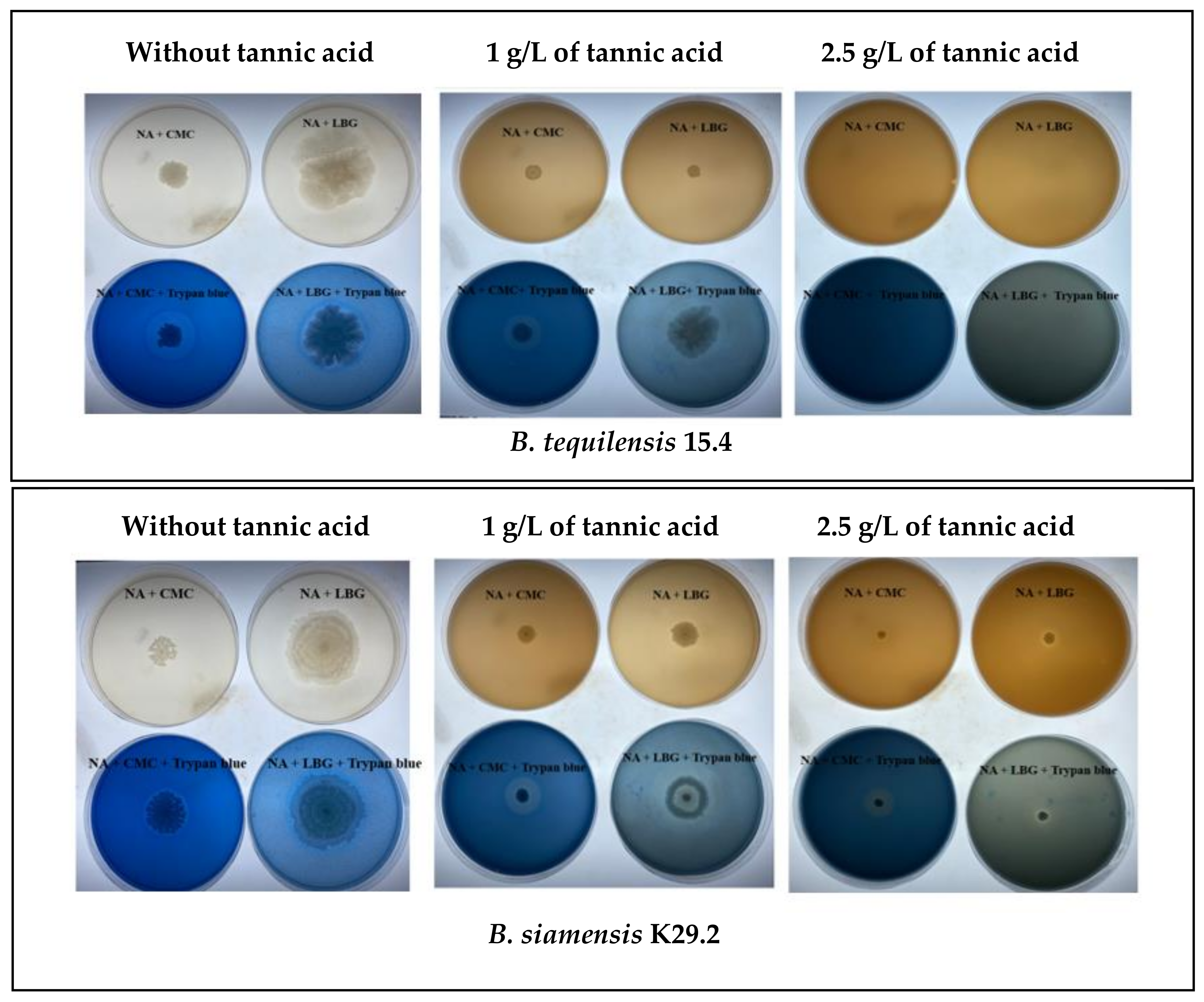 Microorganisms 12 01687 g008
