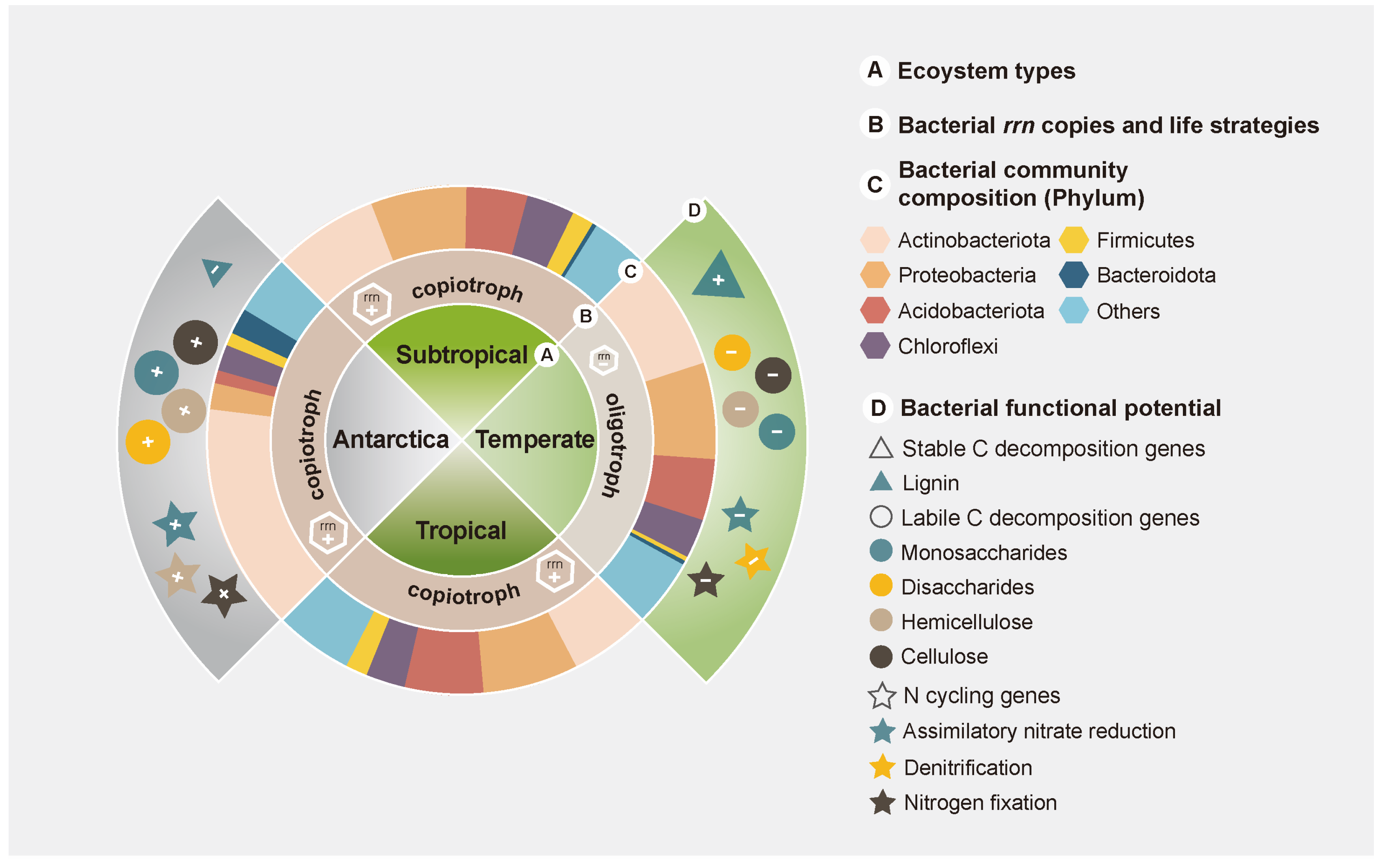 Microorganisms 12 01689 g004