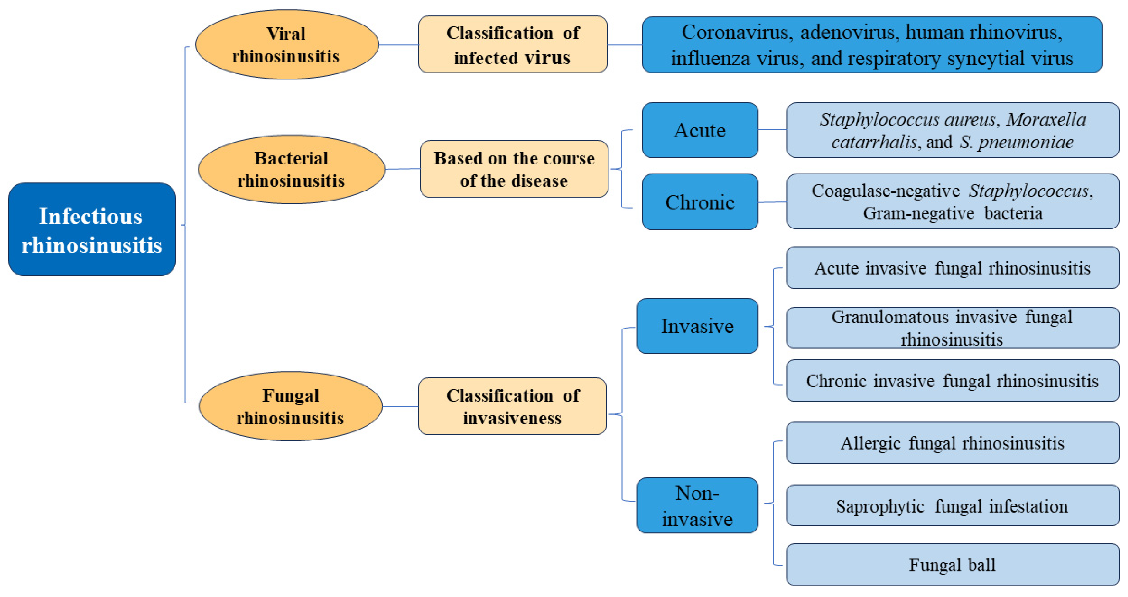 Microorganisms 12 01690 g001 Microorganisms 12 01690 g001
