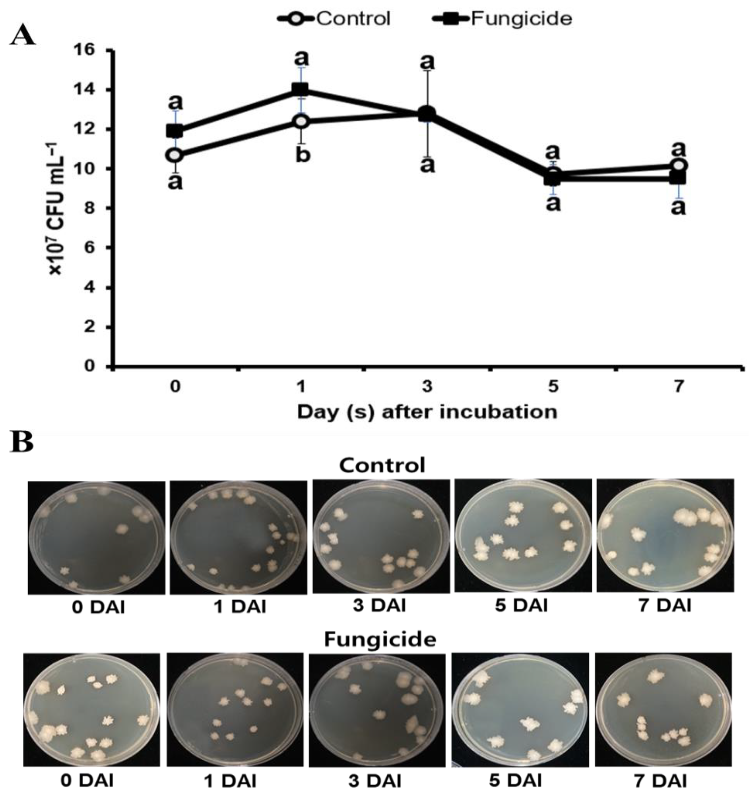 Microorganisms 12 01691 g003 Microorganisms 12 01691 g003