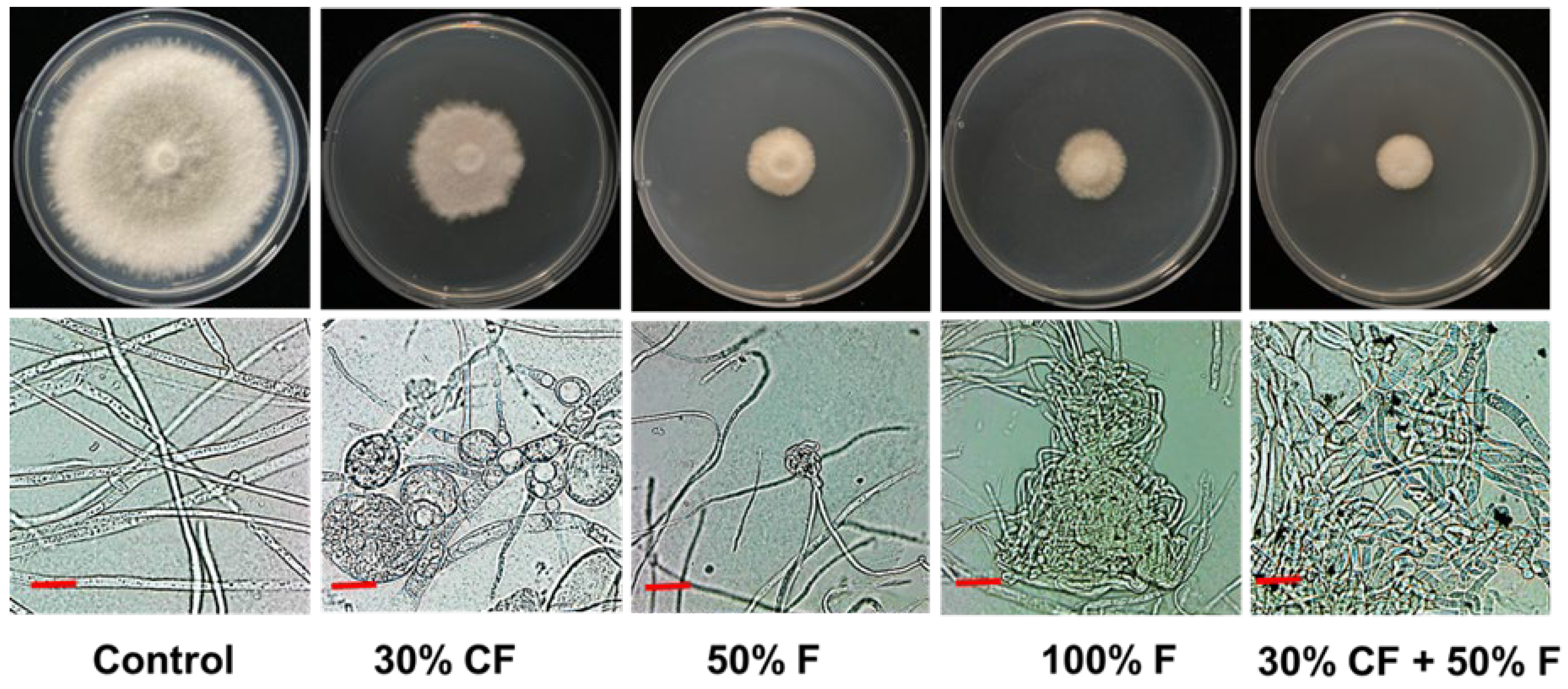 Microorganisms 12 01691 g005 Microorganisms 12 01691 g005