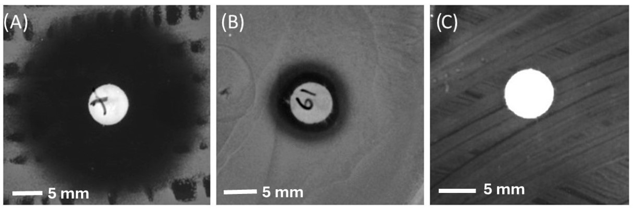 Microorganisms 12 01710 g002