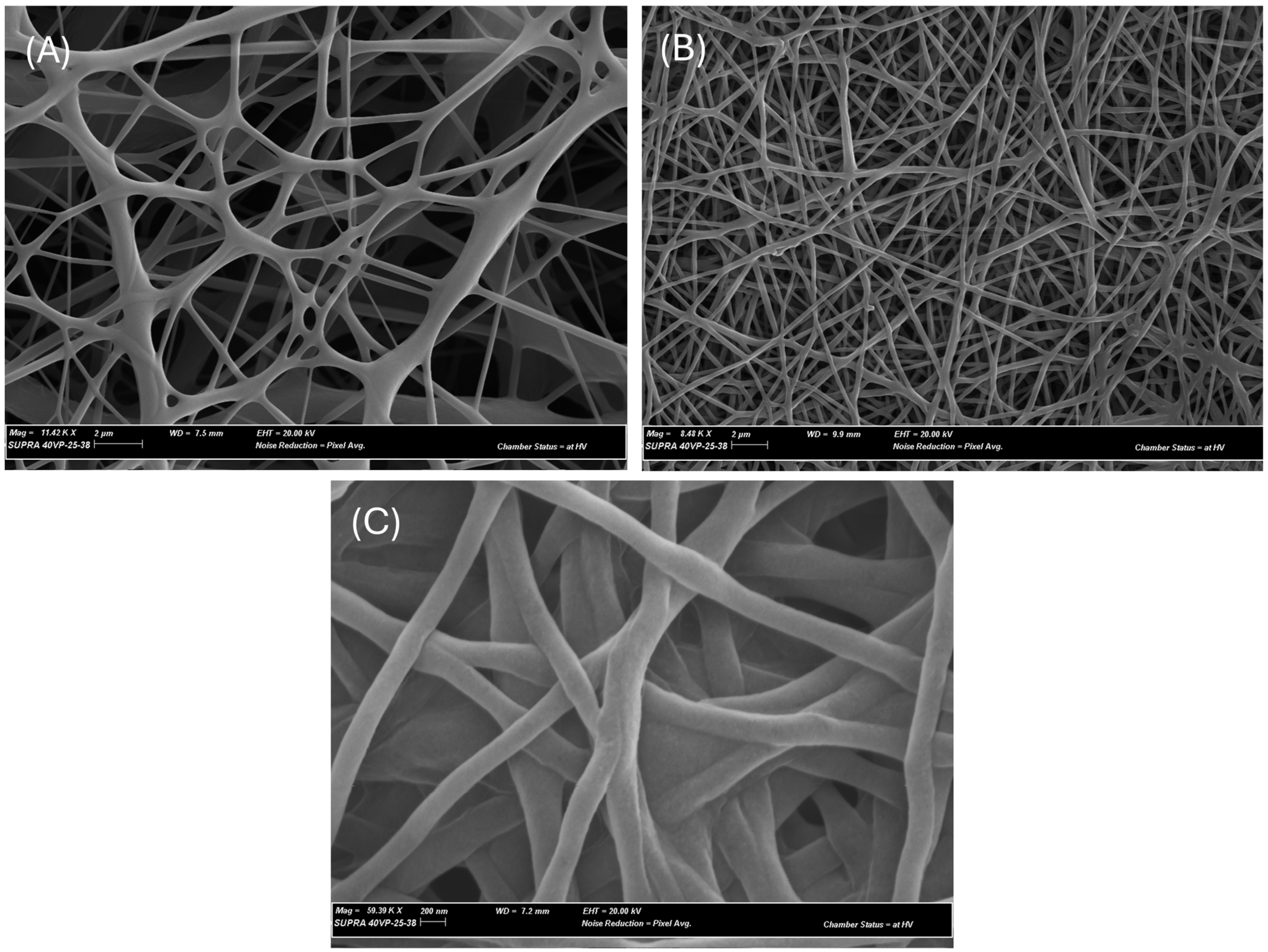 Microorganisms 12 01710 g006