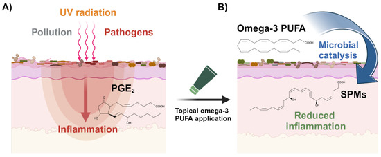 A New Generation of Postbiotics for Skin and Scalp: In Situ