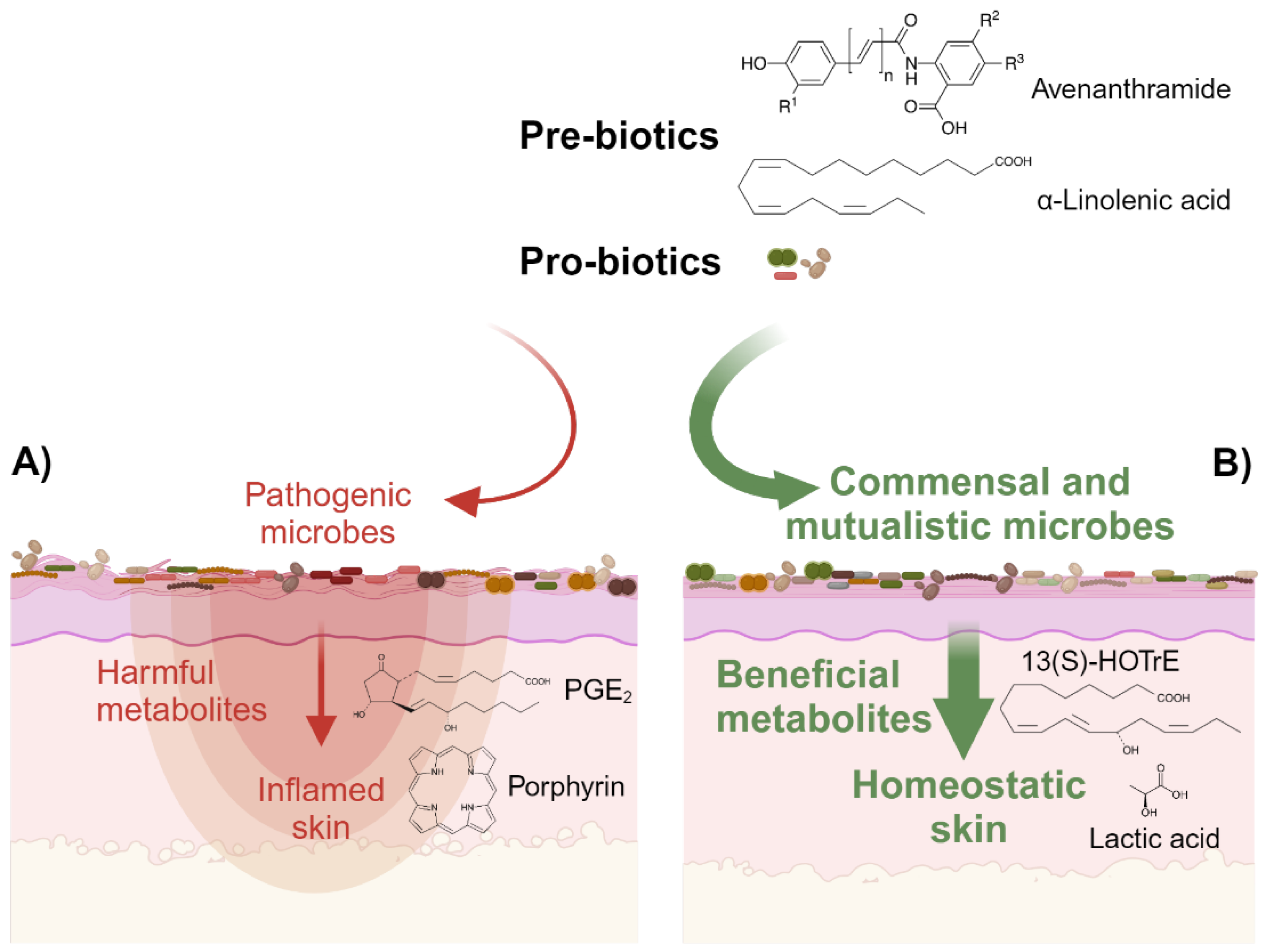 Microorganisms 12 01711 g002