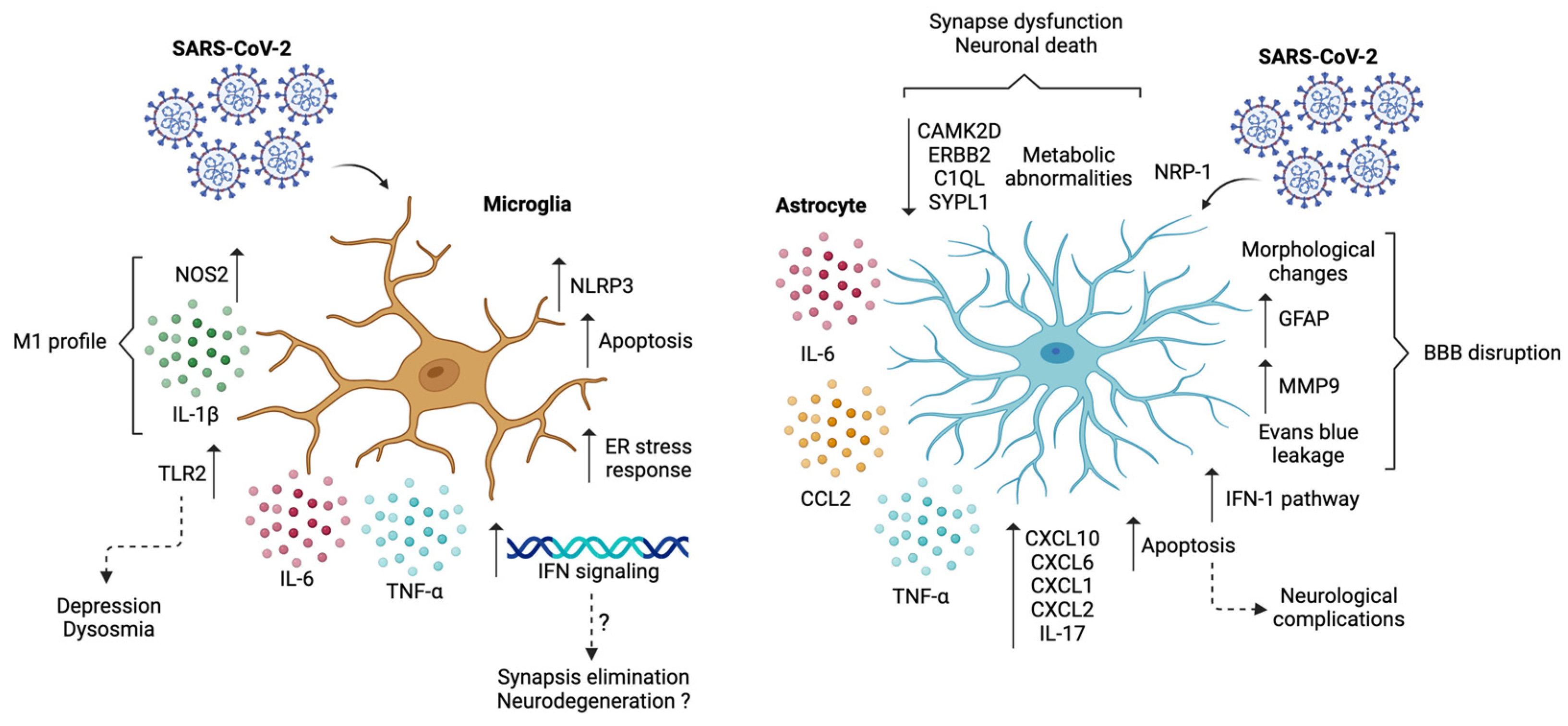 Microorganisms 12 01713 g002