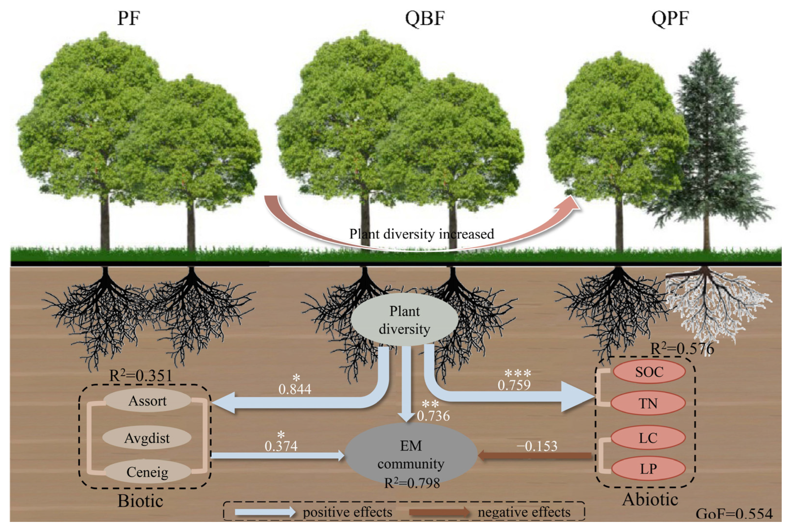 Microorganisms 12 01718 g004