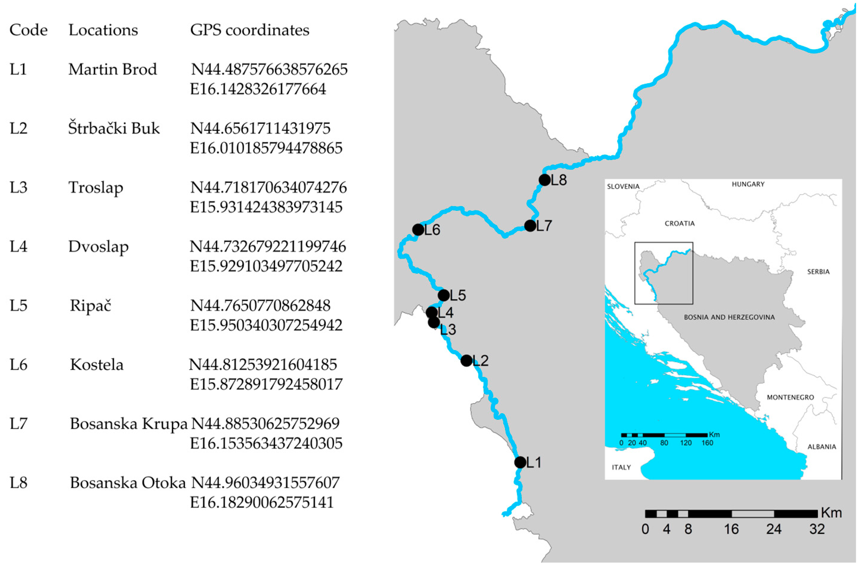 Microorganisms 12 01722 g001