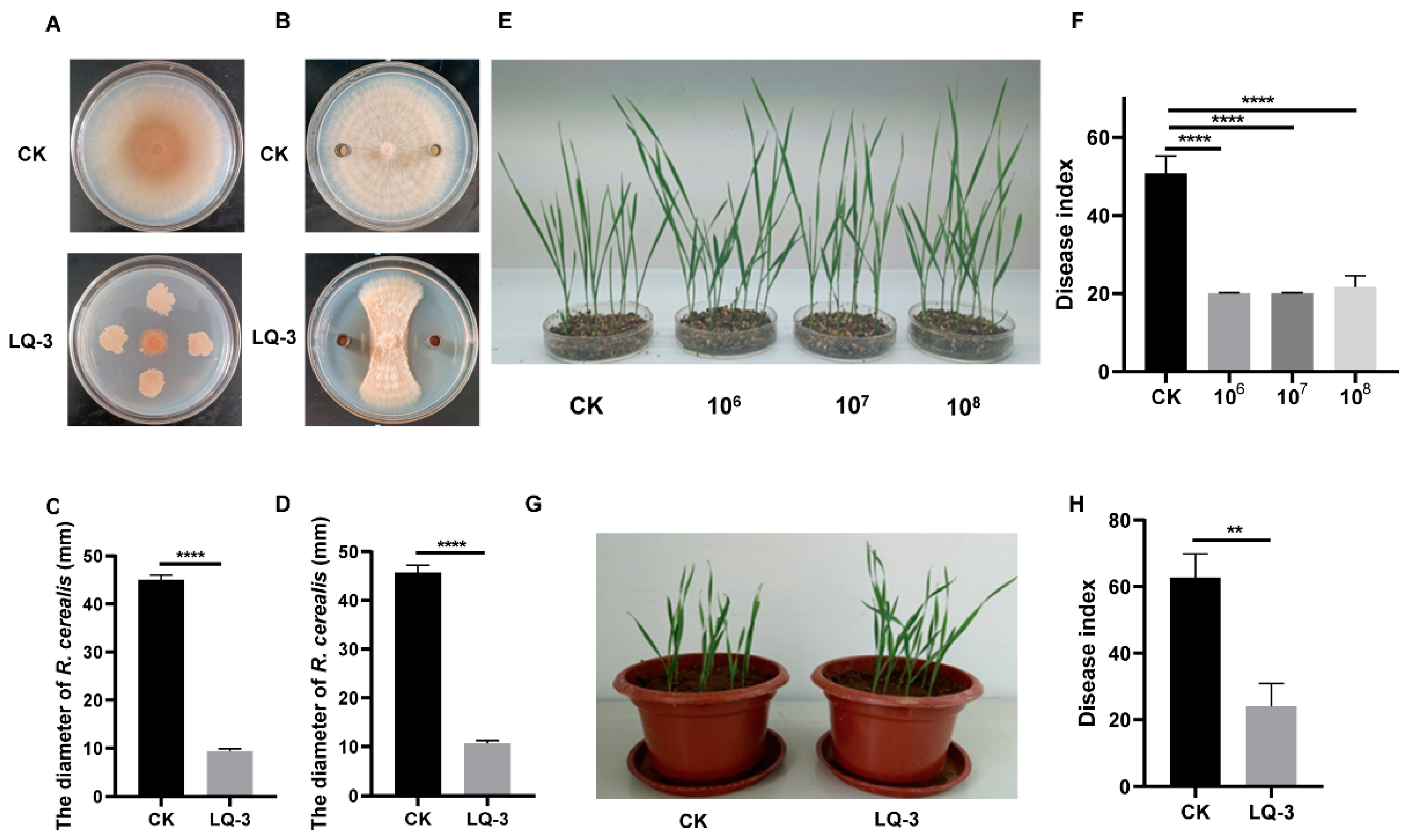 Microorganisms 12 01724 g001