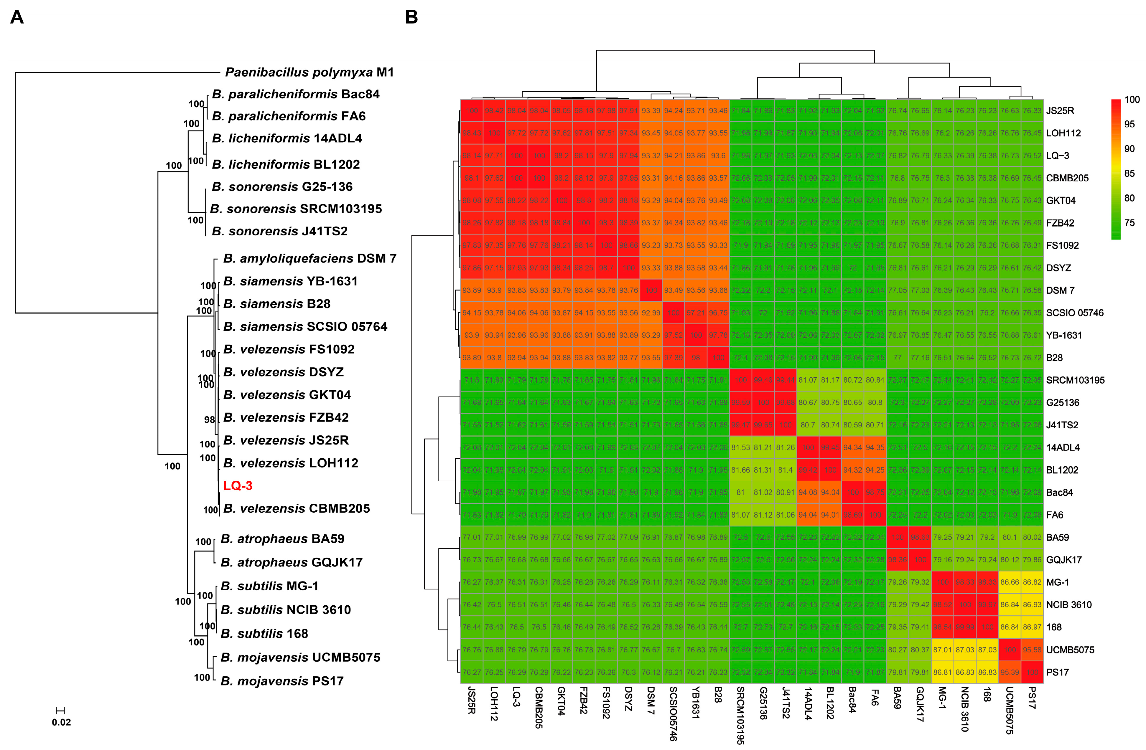 Microorganisms 12 01724 g002