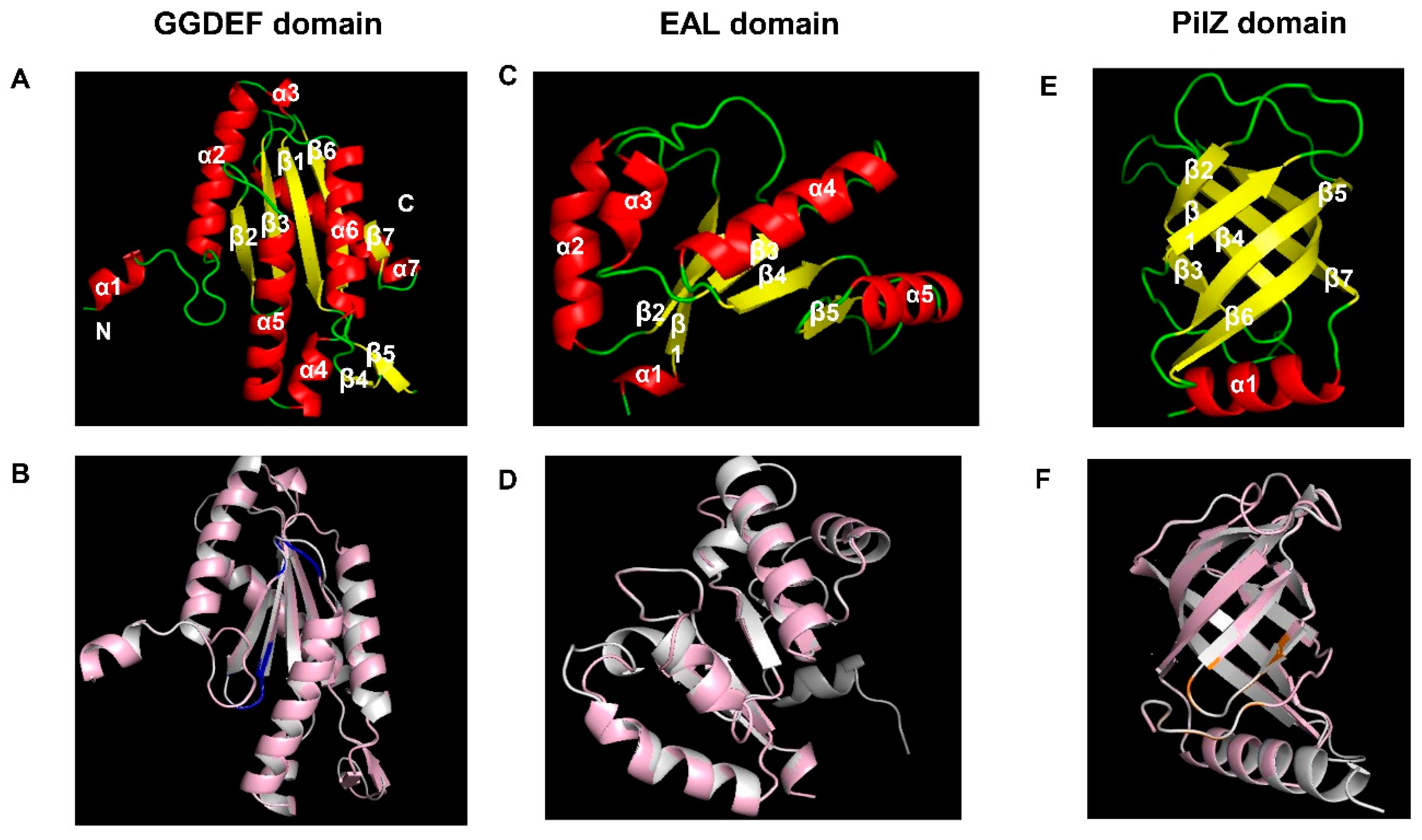 Microorganisms 12 01724 g006