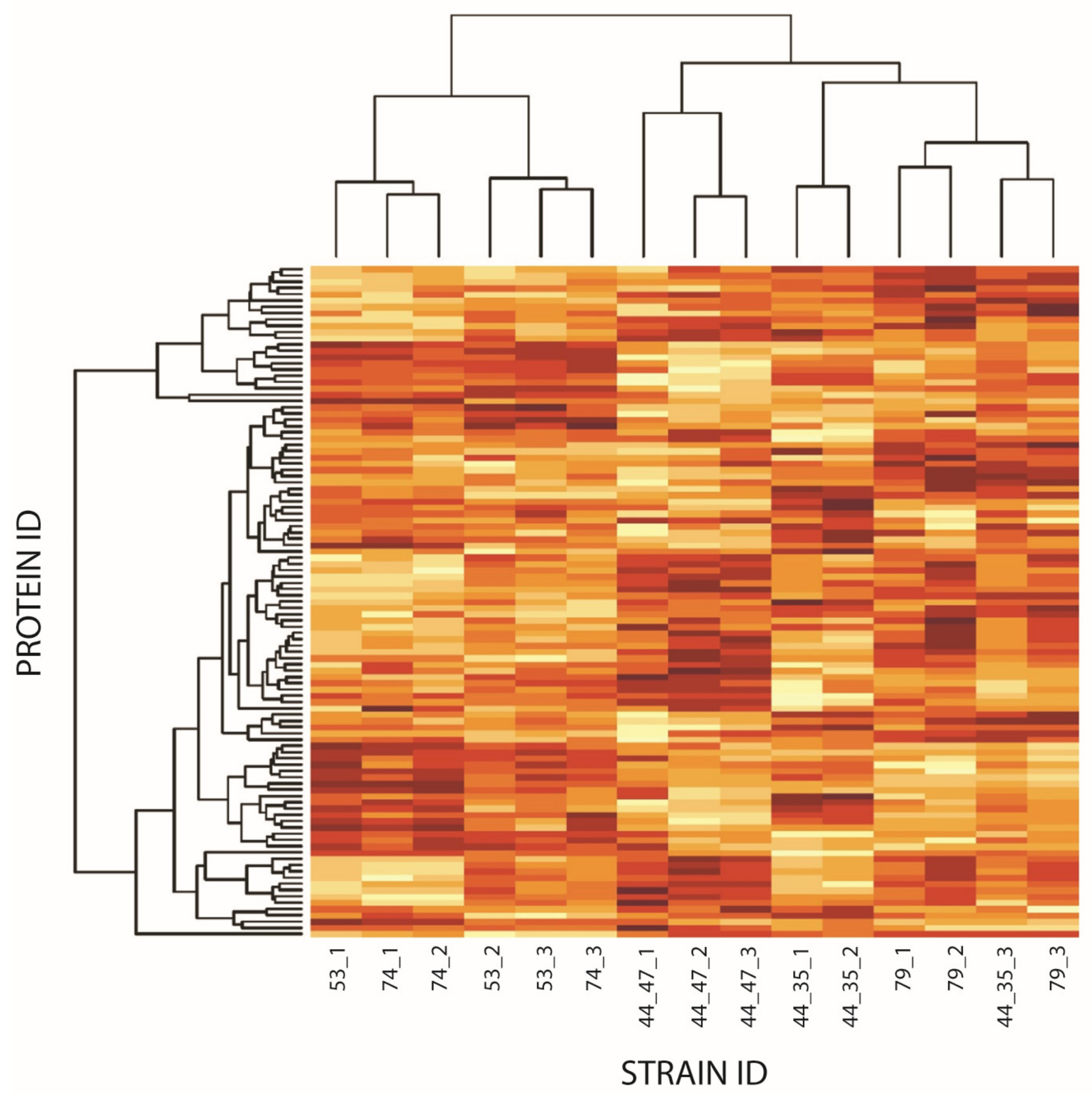 Microorganisms 12 01725 g002 Microorganisms 12 01725 g002