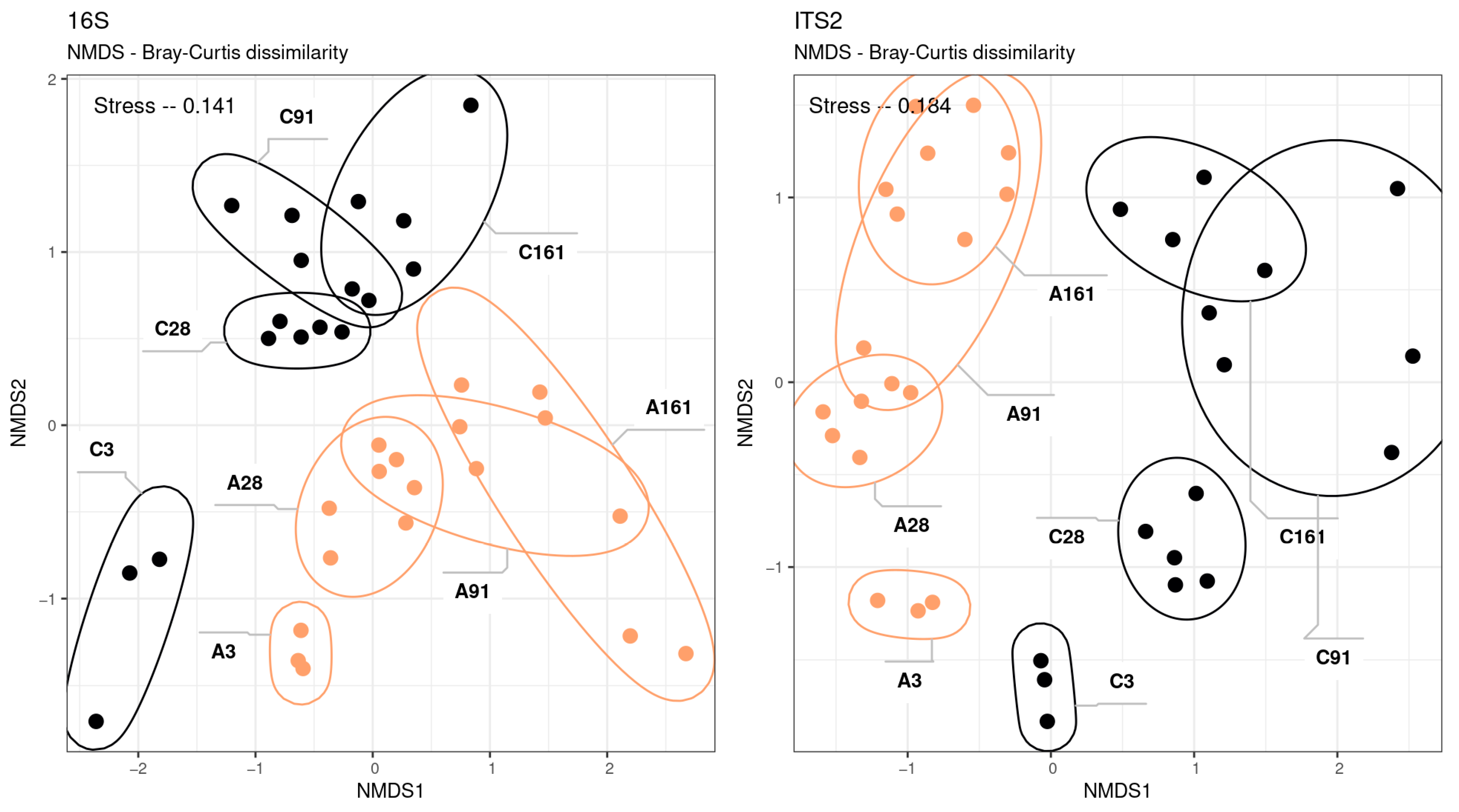 Microorganisms 12 01728 g002