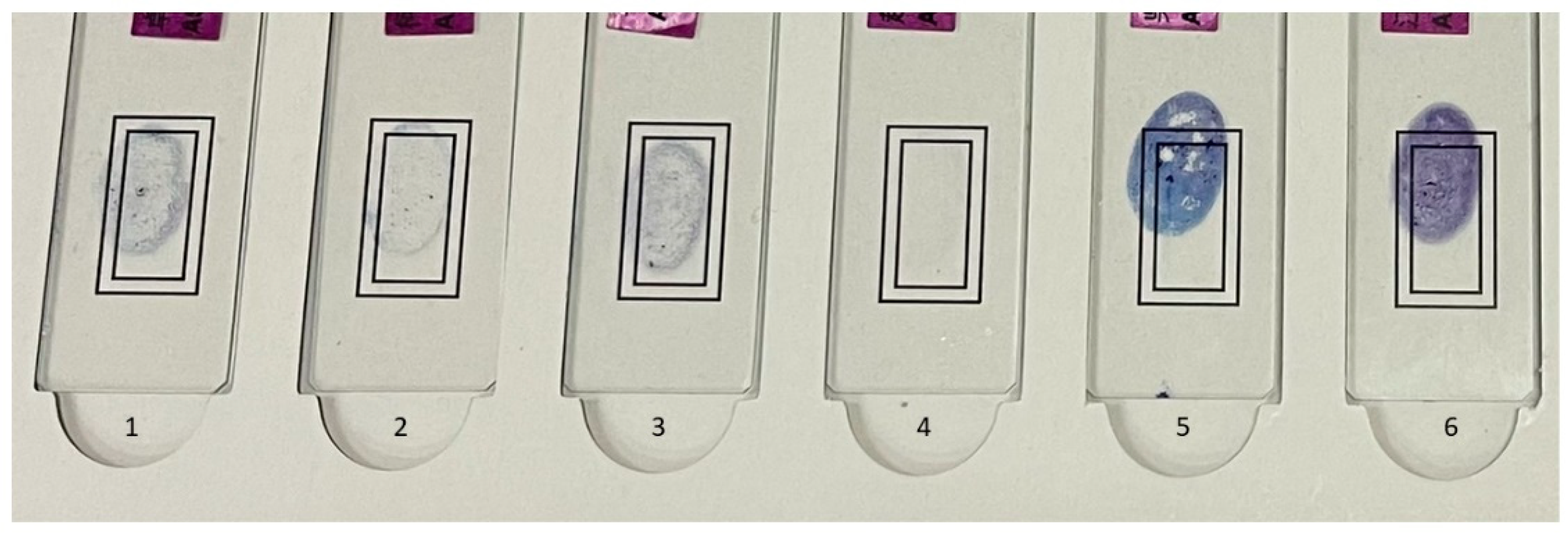 Microorganisms 12 01734 g001