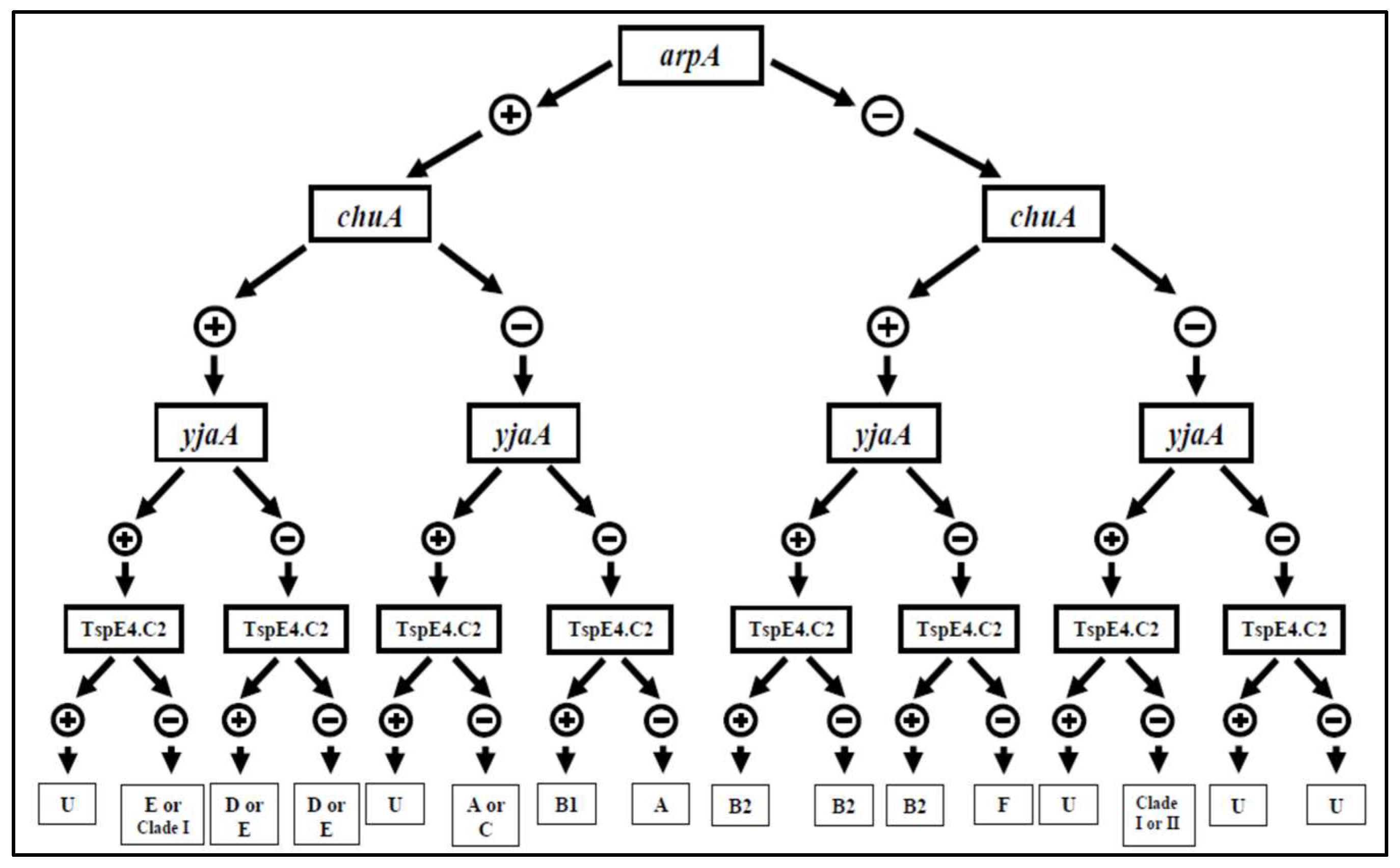 Microorganisms 12 01739 g002