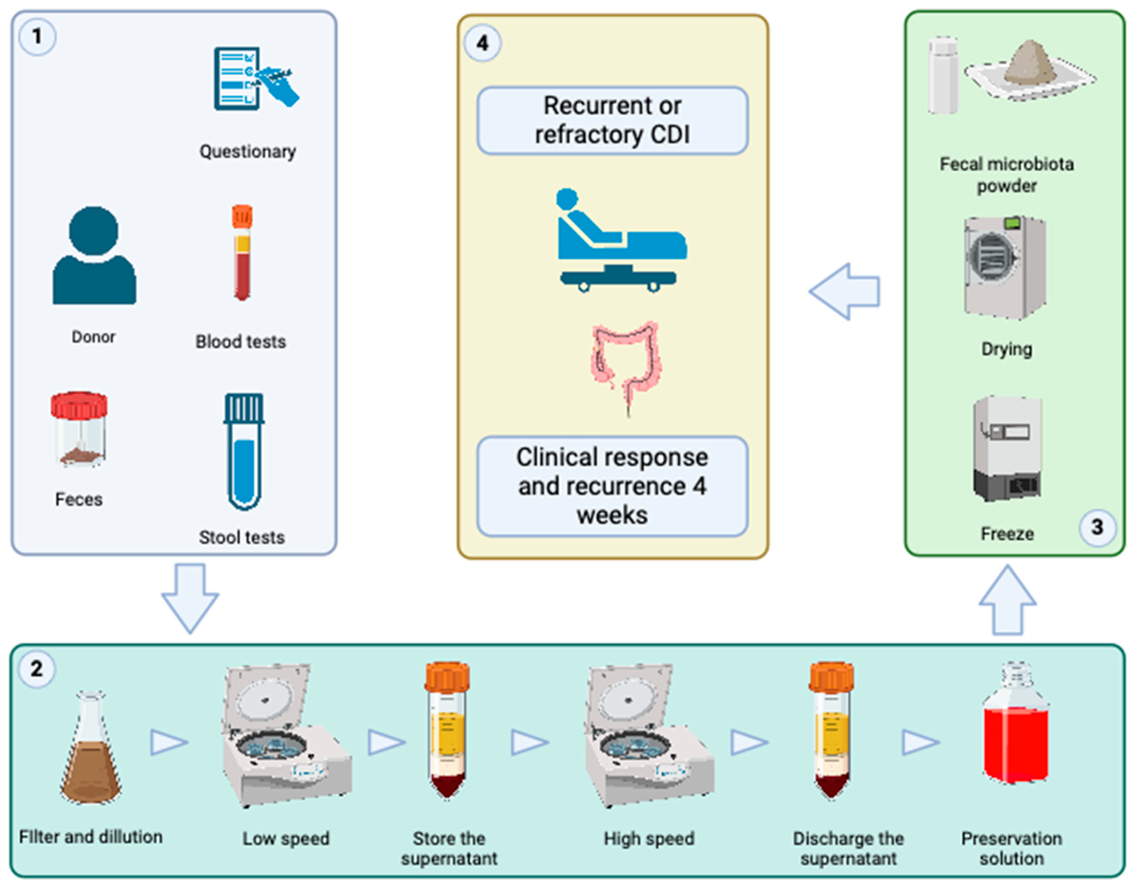 Microorganisms 12 01741 g001