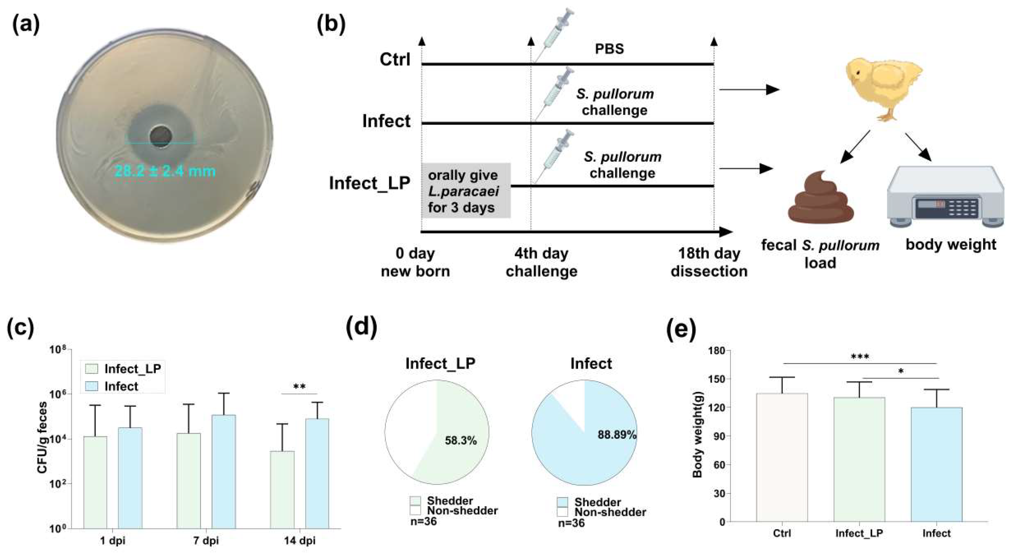 Microorganisms 12 01743 g003