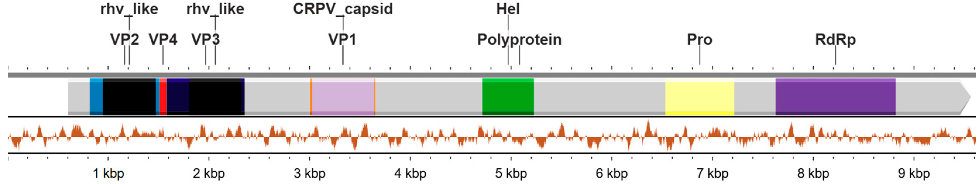 Microorganisms 12 01749 g001