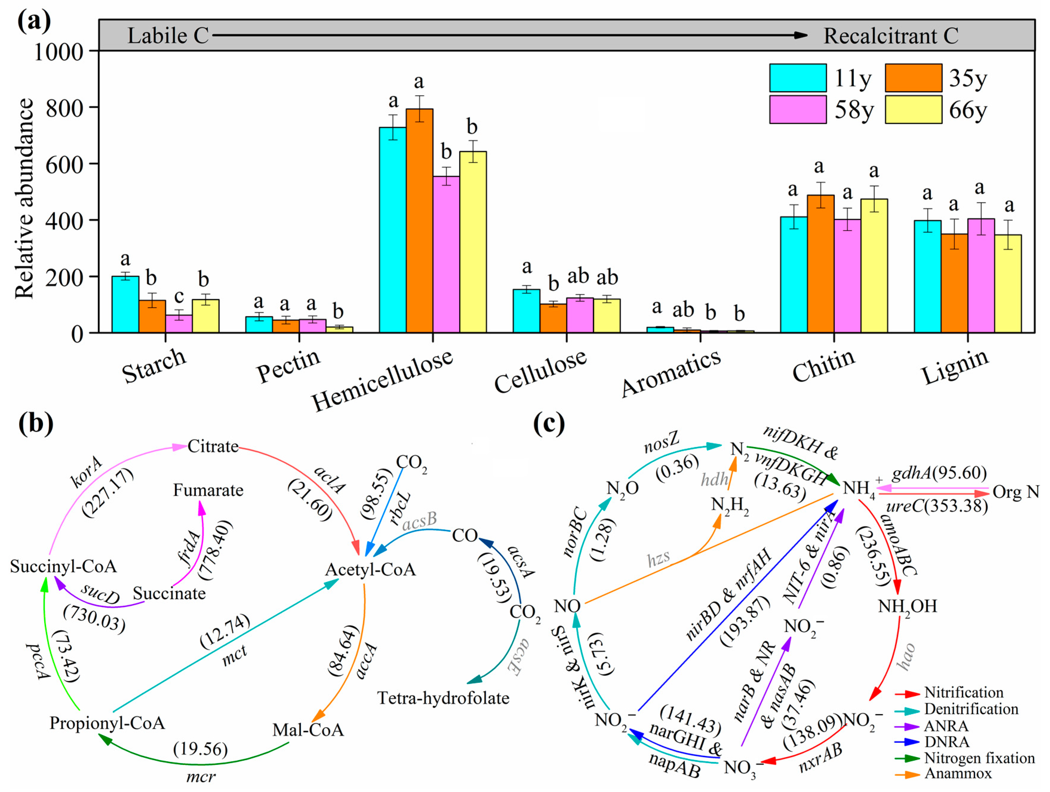 Microorganisms 12 01752 g003