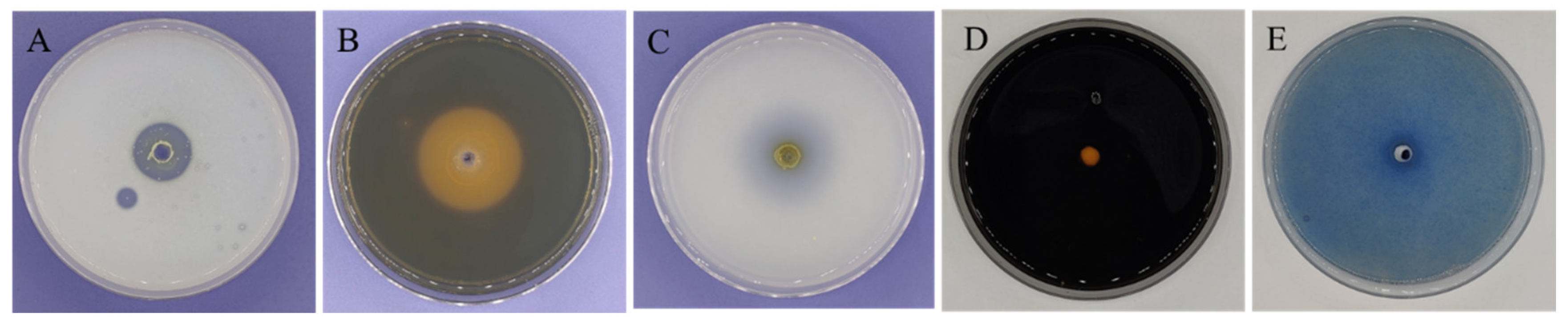 Microorganisms 12 01754 g004