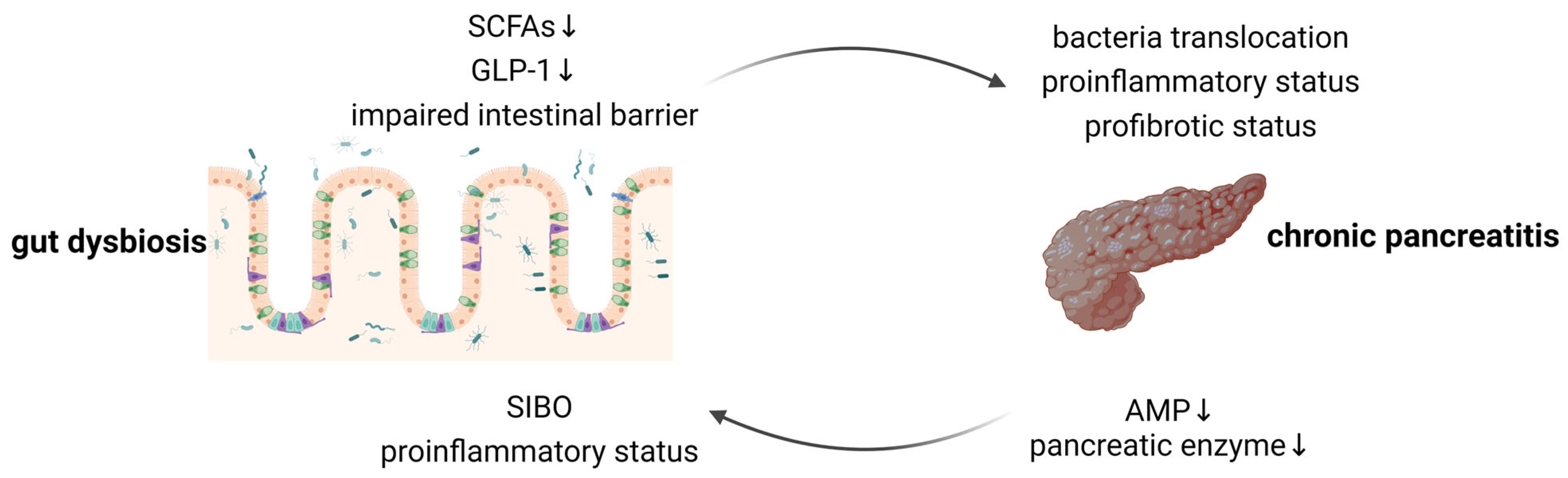 Microorganisms 12 01760 g001