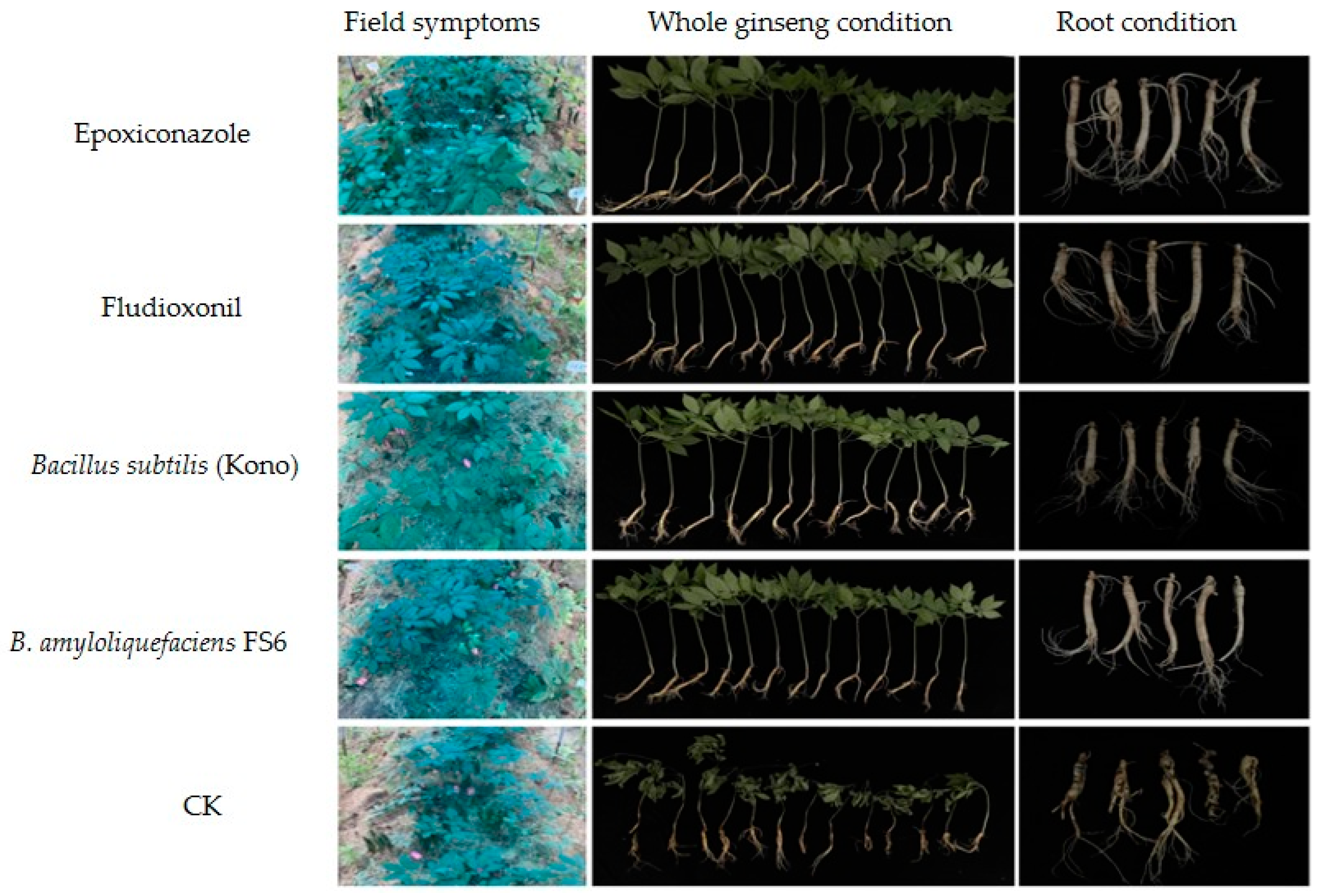 Microorganisms 12 01761 g002