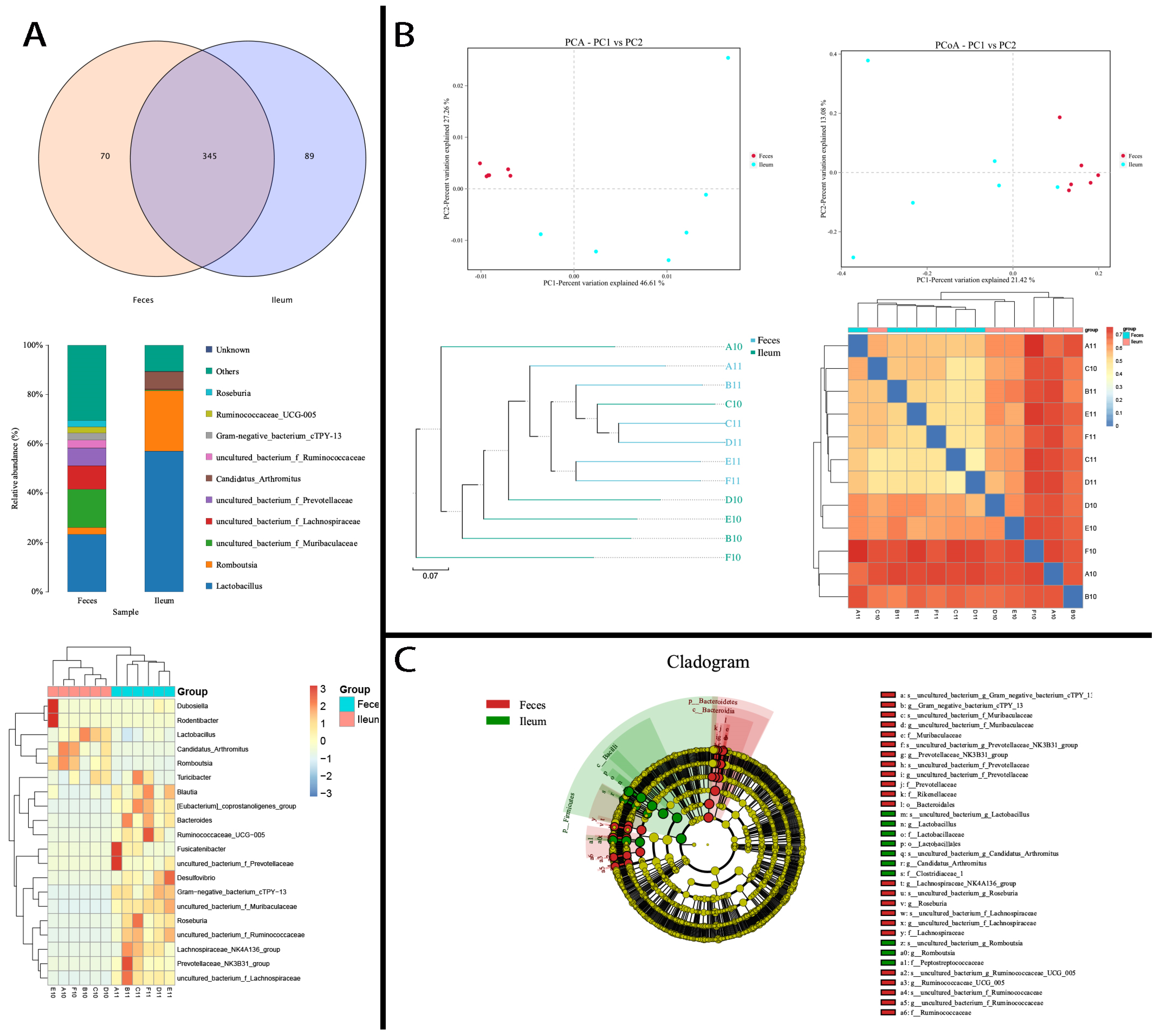 Microorganisms 12 01764 g006