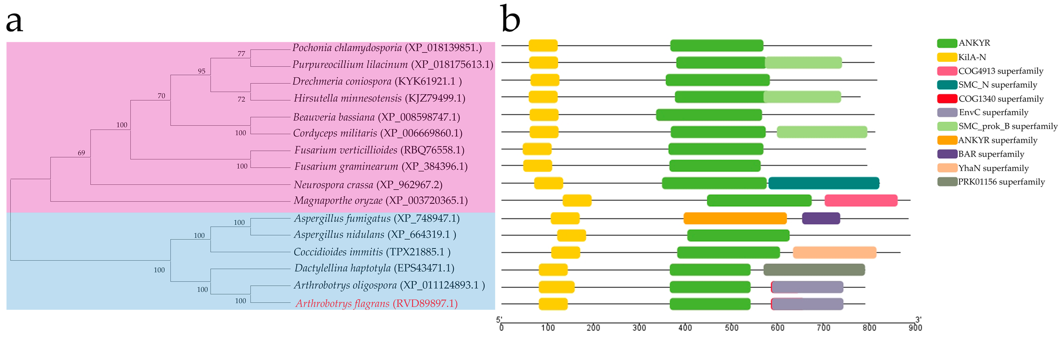Microorganisms 12 01765 g001